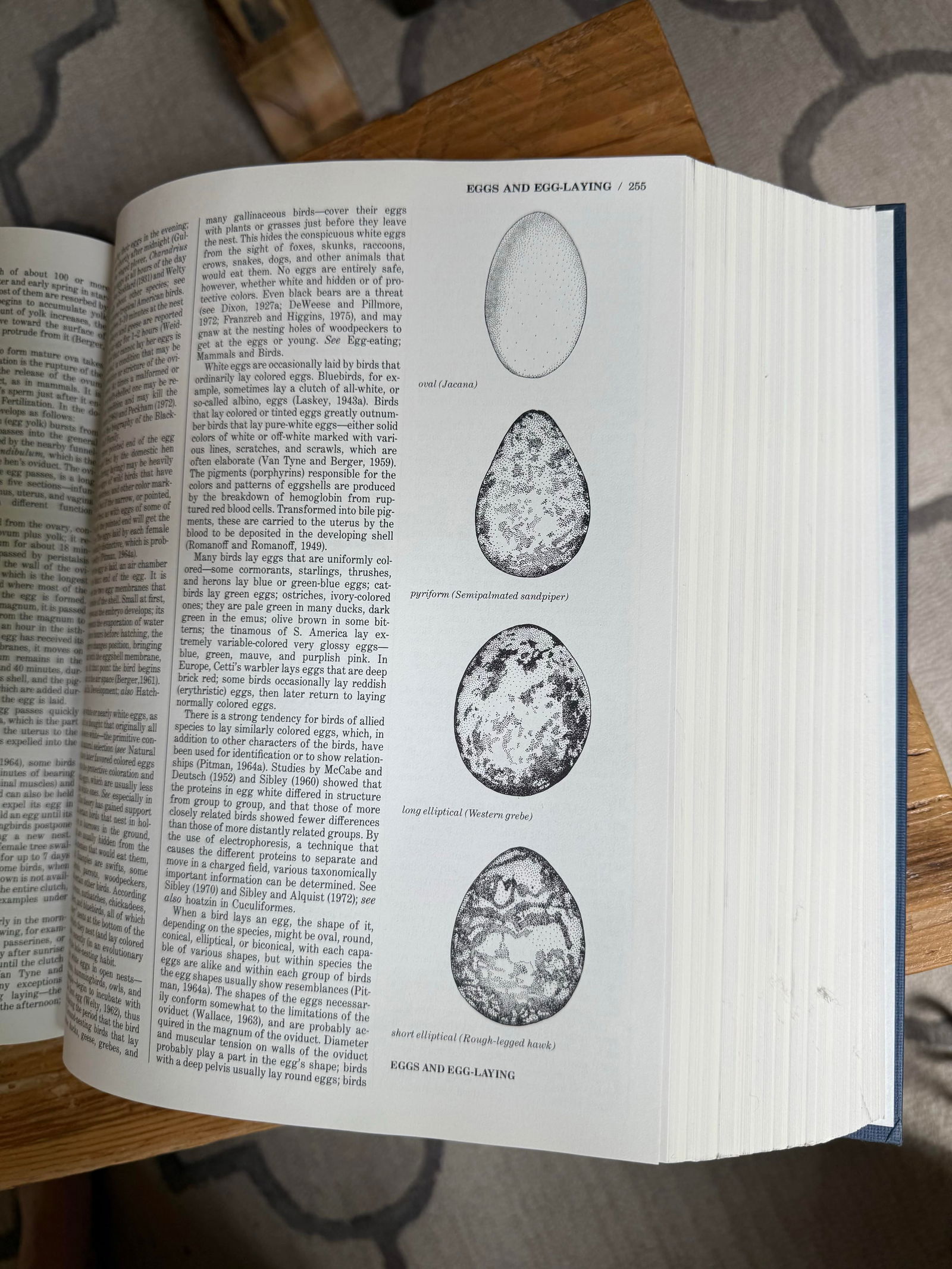 Large 1991 Edition the Audobon Society Encyclopedia of North American Birds by John K. Terres - 9