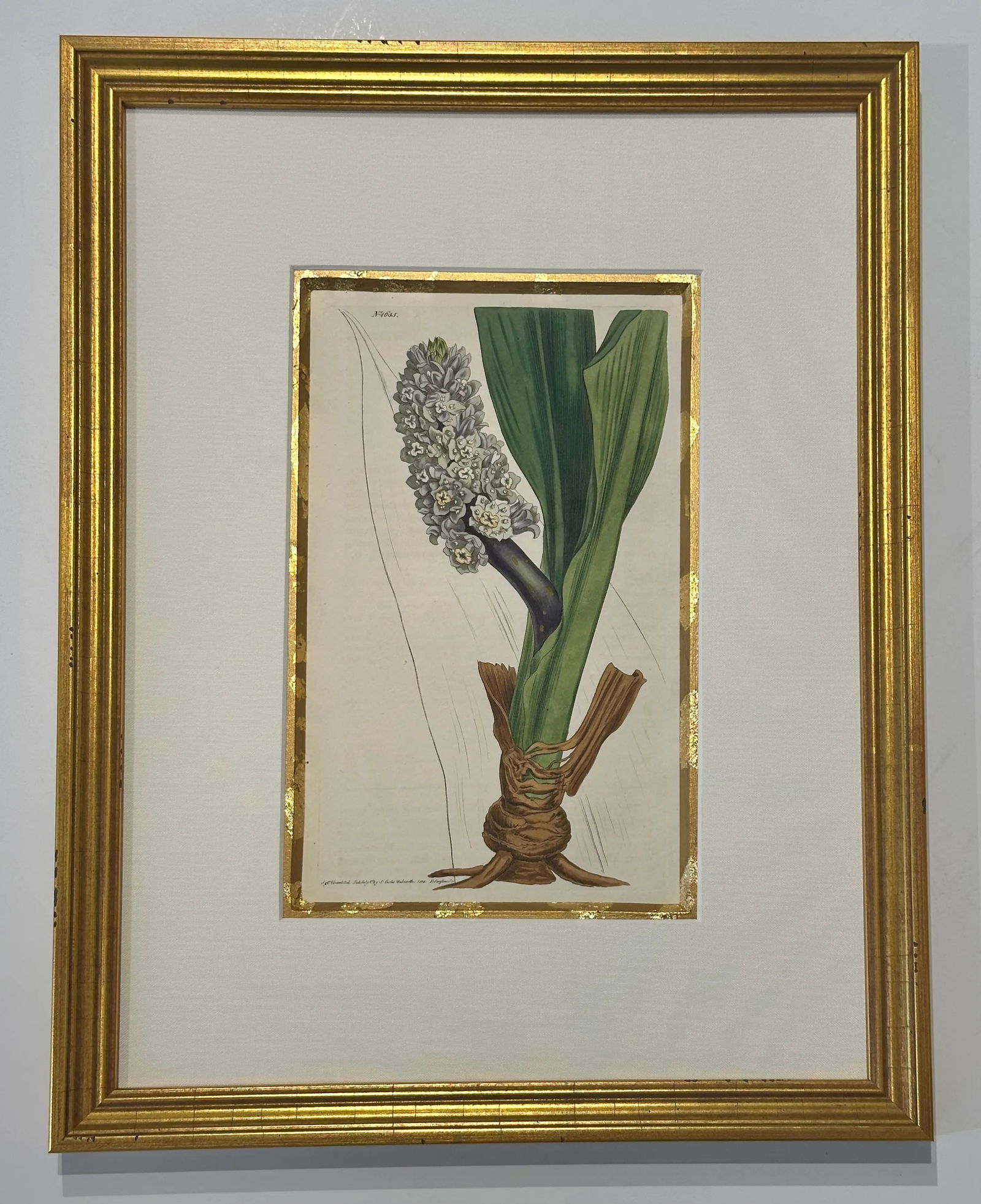 Botanical Set of 9 in Gold Leaf Gesso Mat by Curtis, 1842 (Framed) - 11