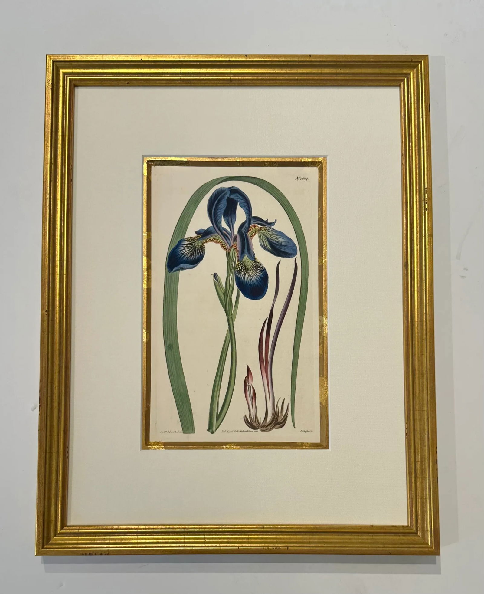 Botanical Set of 9 in Gold Leaf Gesso Mat by Curtis, 1842 (Framed) - 5