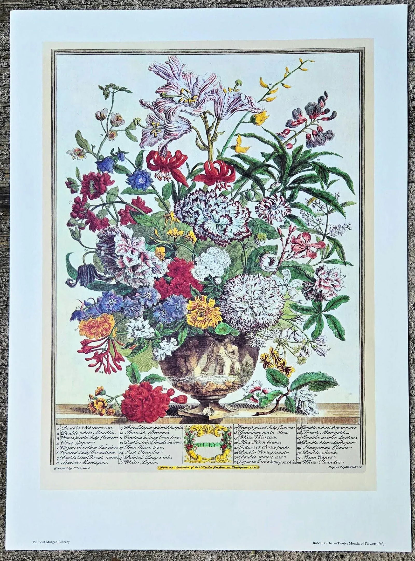 1980s Vintage Robert Furber July Botanical From "Twelve Months of Flowers" Pierpont Morgan Library - 10