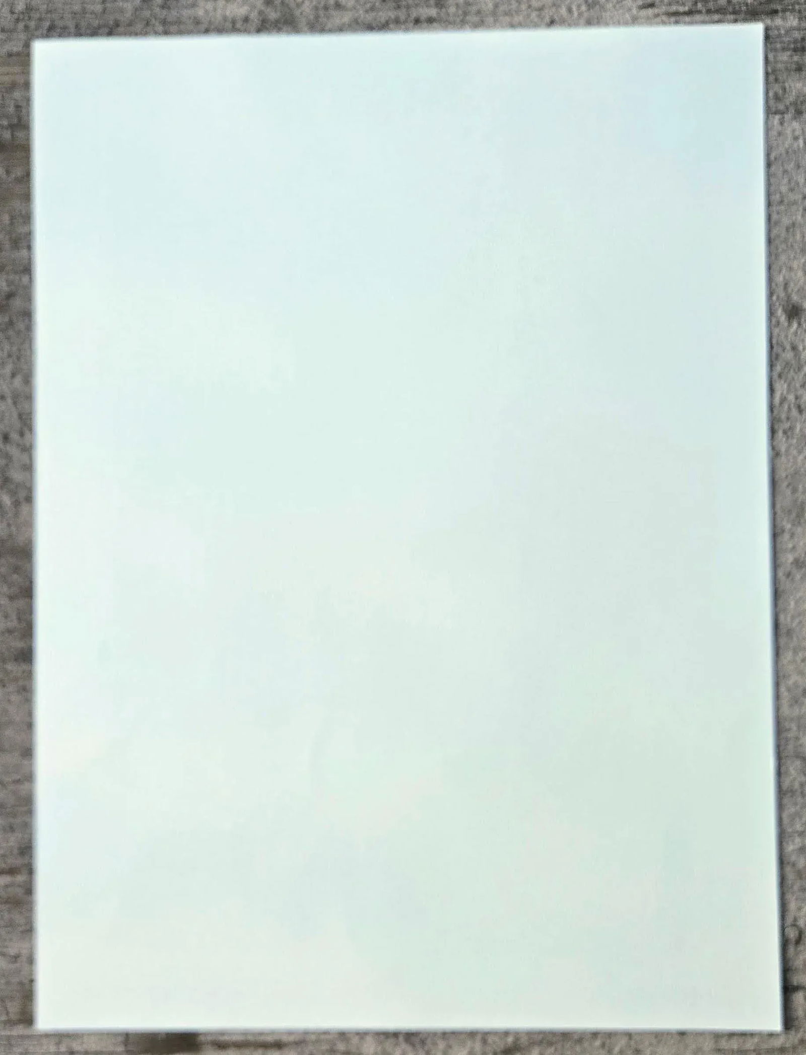 1980s Vintage Robert Furber July Botanical From "Twelve Months of Flowers" Pierpont Morgan Library - 11