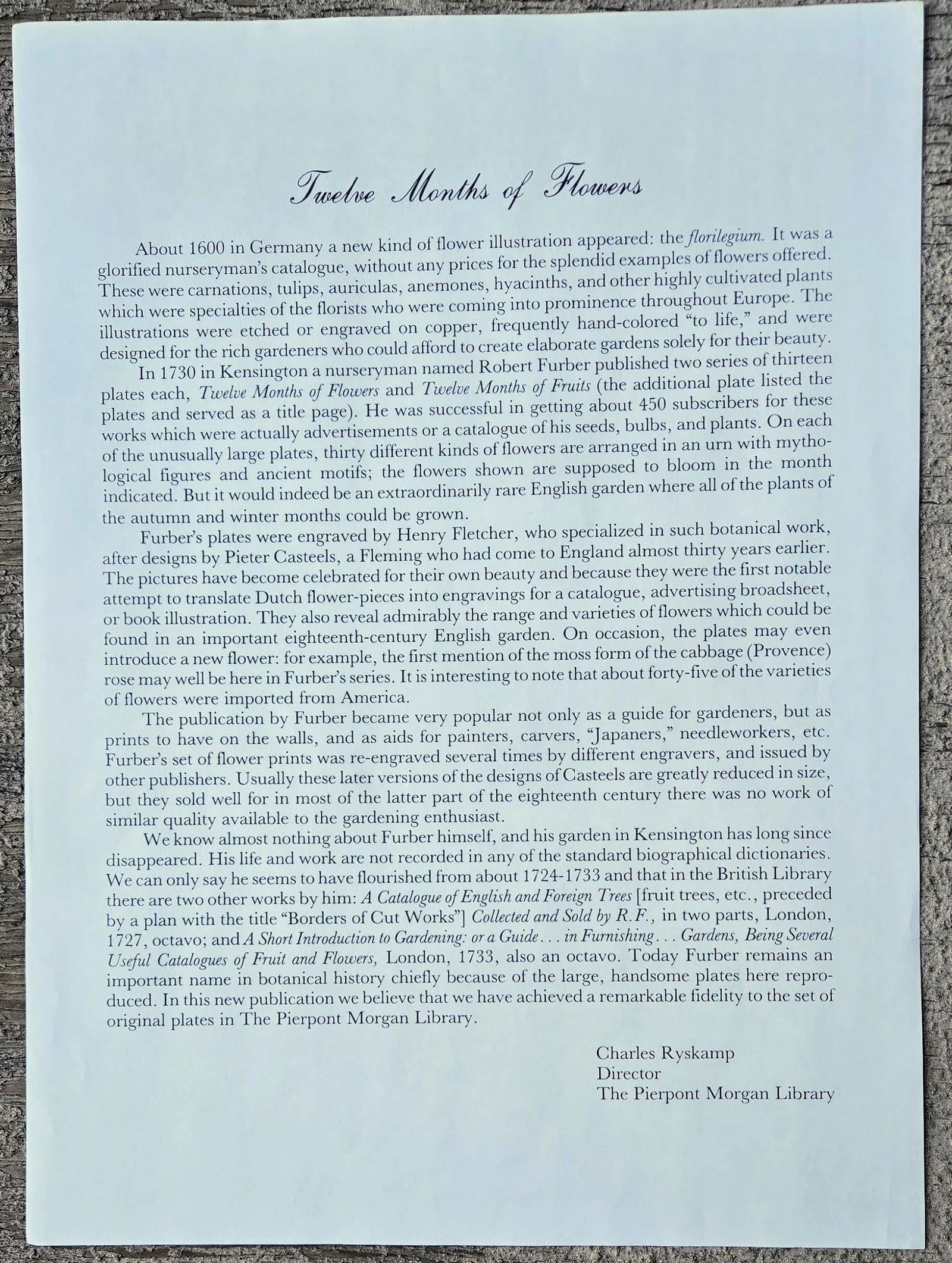 1980s Vintage Robert Furber July Botanical From "Twelve Months of Flowers" Pierpont Morgan Library - 12