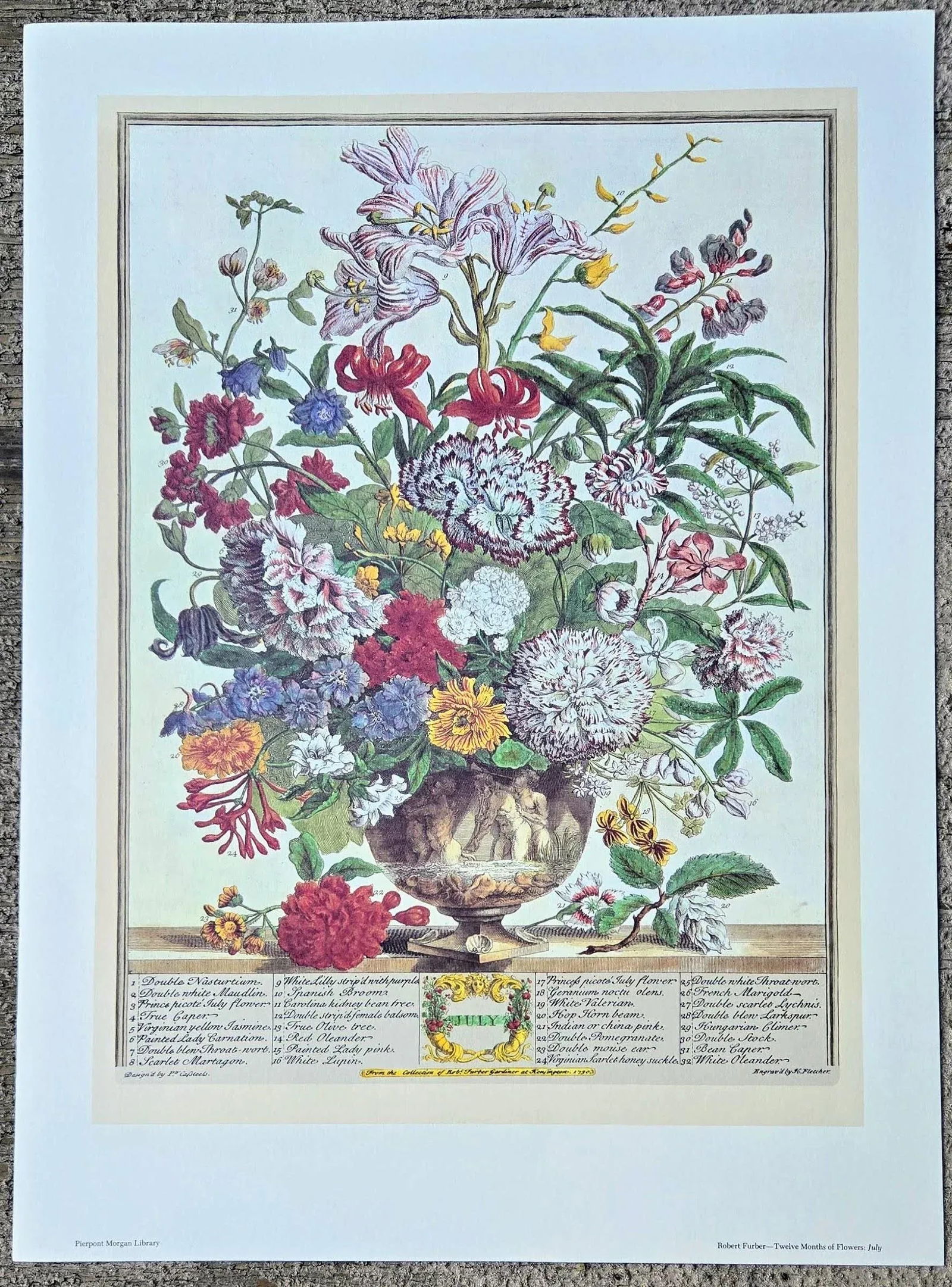 1980s Vintage Robert Furber July Botanical From "Twelve Months of Flowers" Pierpont Morgan Library - 2