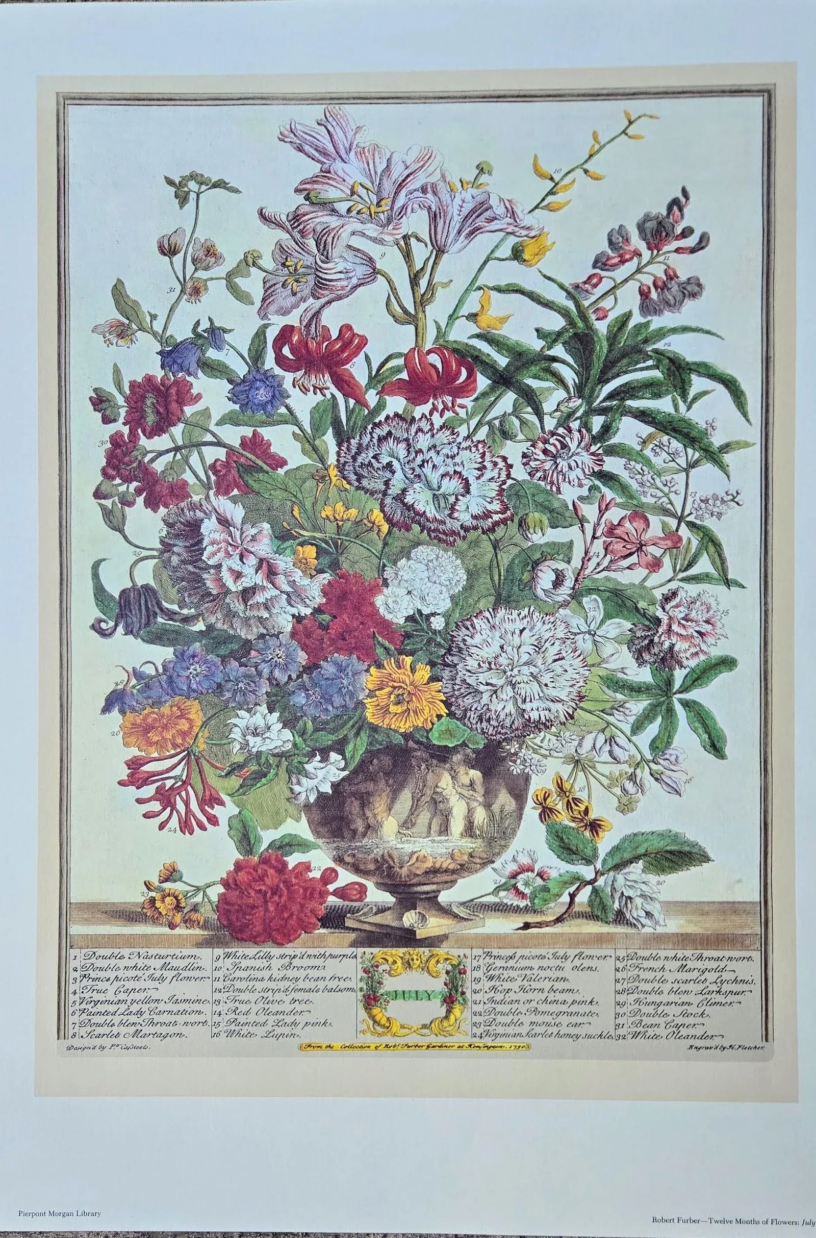 1980s Vintage Robert Furber July Botanical From "Twelve Months of Flowers" Pierpont Morgan Library - 3