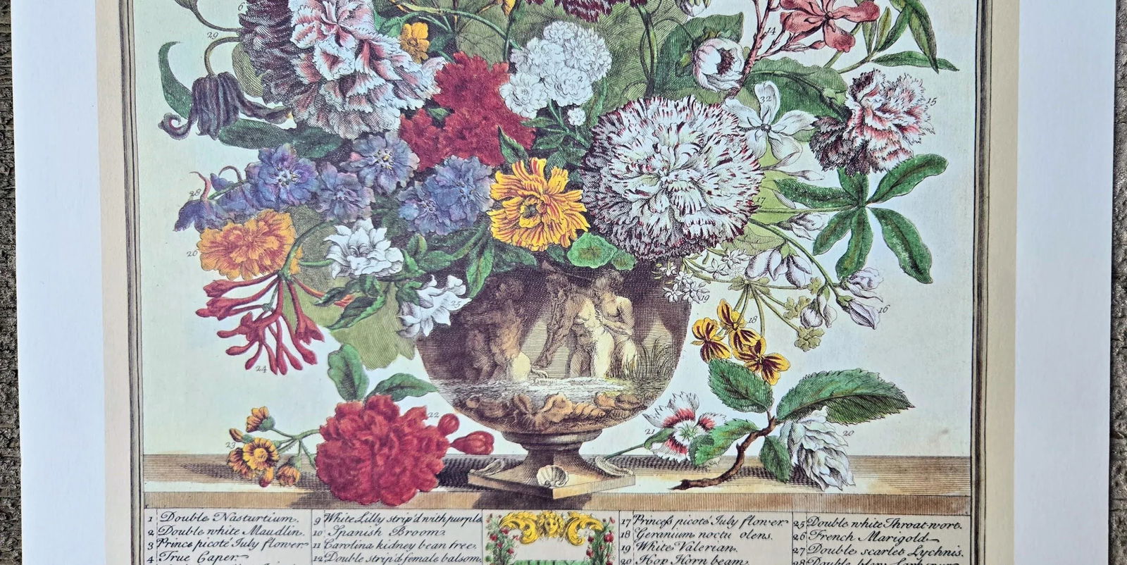 1980s Vintage Robert Furber July Botanical From "Twelve Months of Flowers" Pierpont Morgan Library - 5