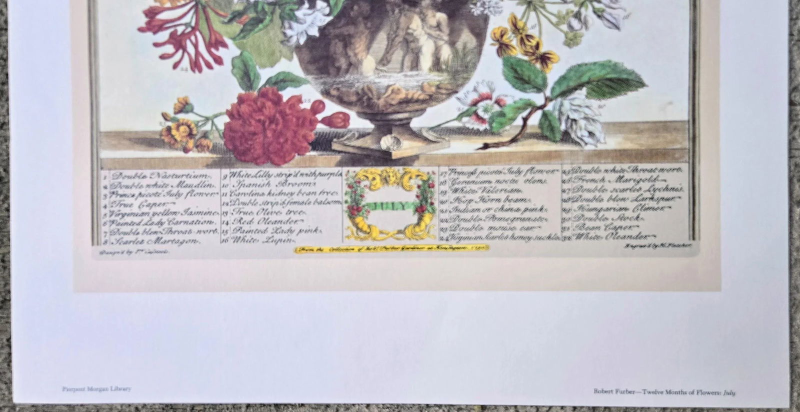 1980s Vintage Robert Furber July Botanical From "Twelve Months of Flowers" Pierpont Morgan Library - 6