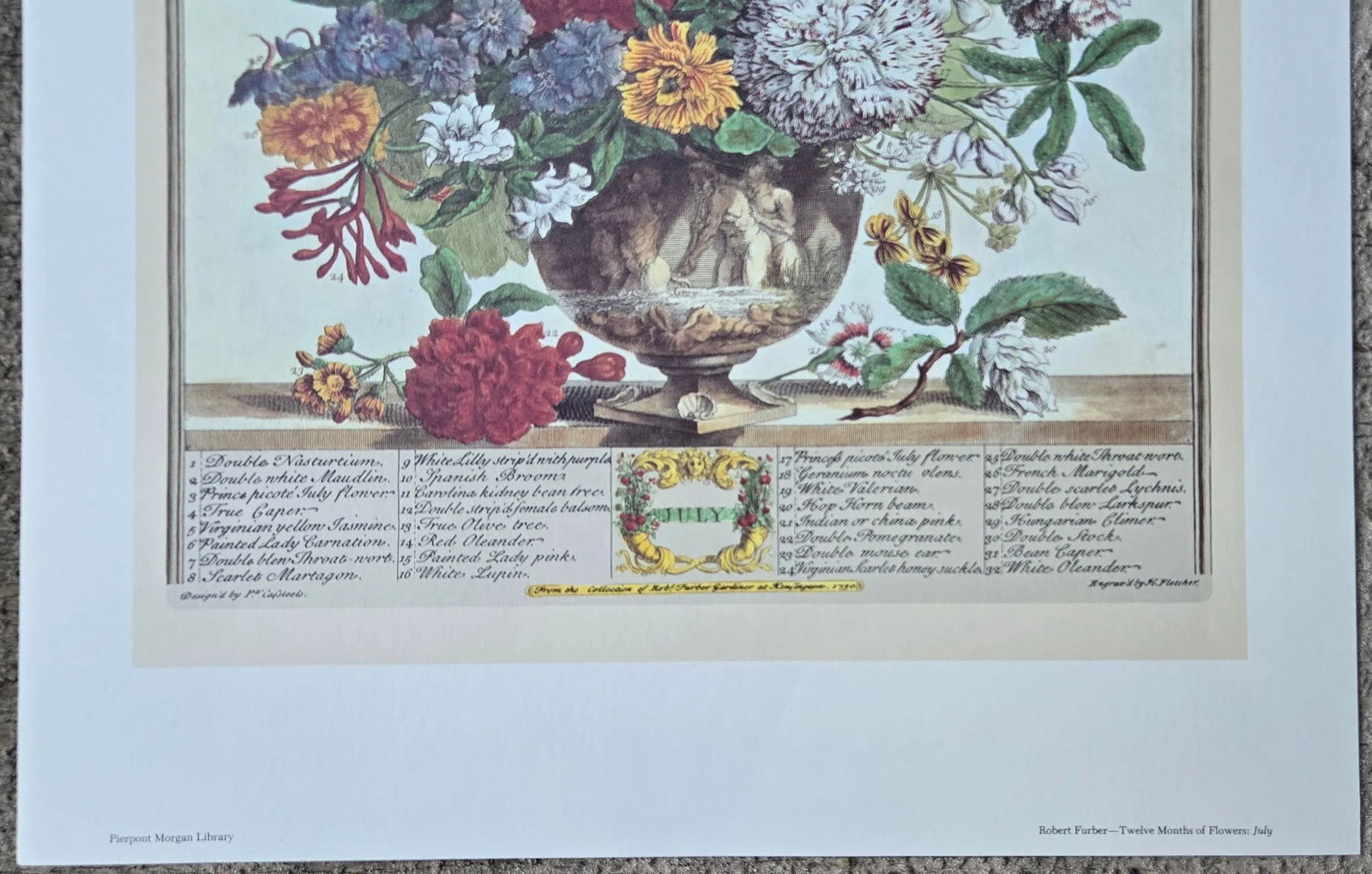 1980s Vintage Robert Furber July Botanical From "Twelve Months of Flowers" Pierpont Morgan Library - 9
