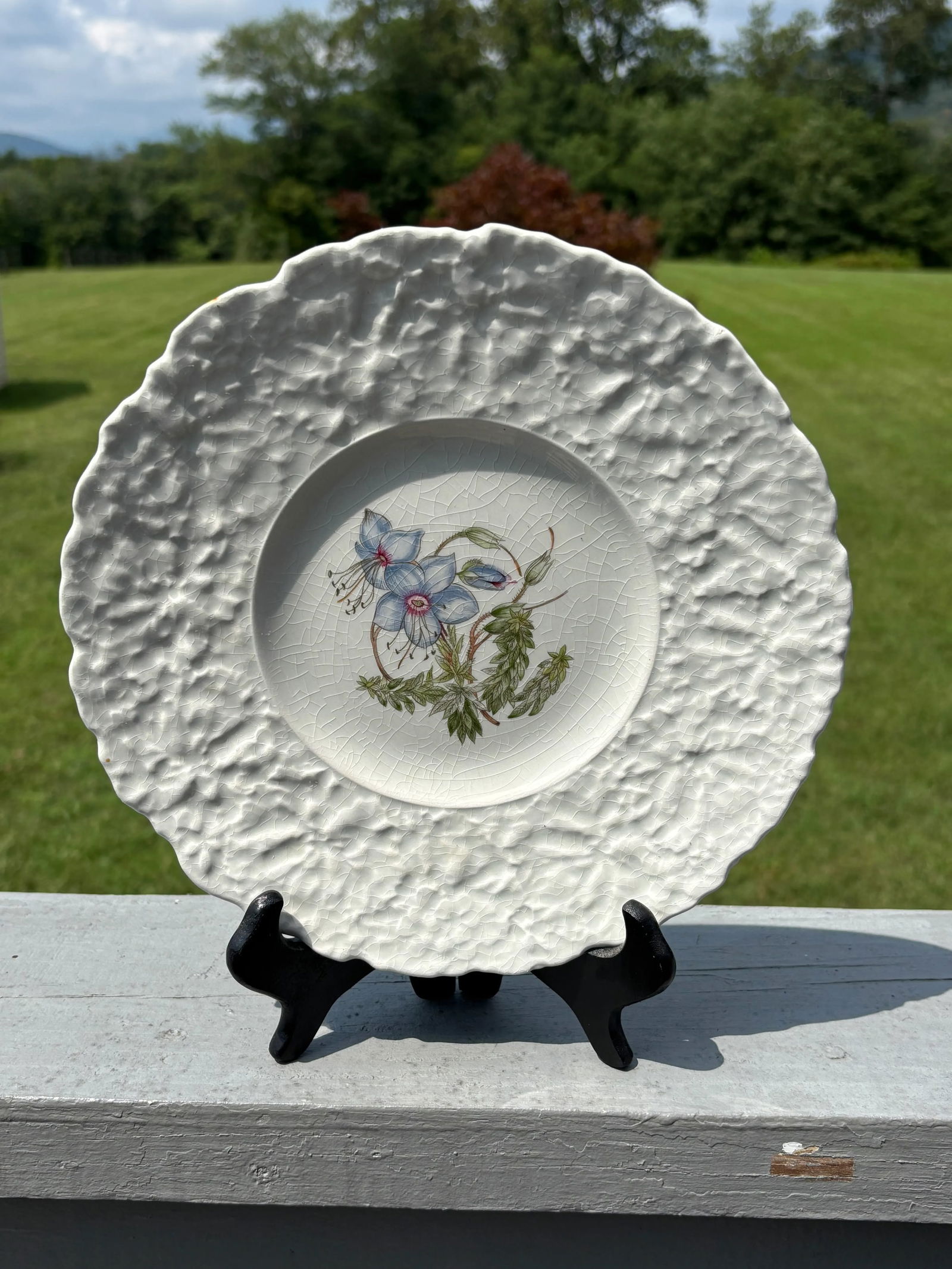 Early 20th Century English Porcelain Floral Luncheon Set - 8 Plates With Unique Botanical Images - 10