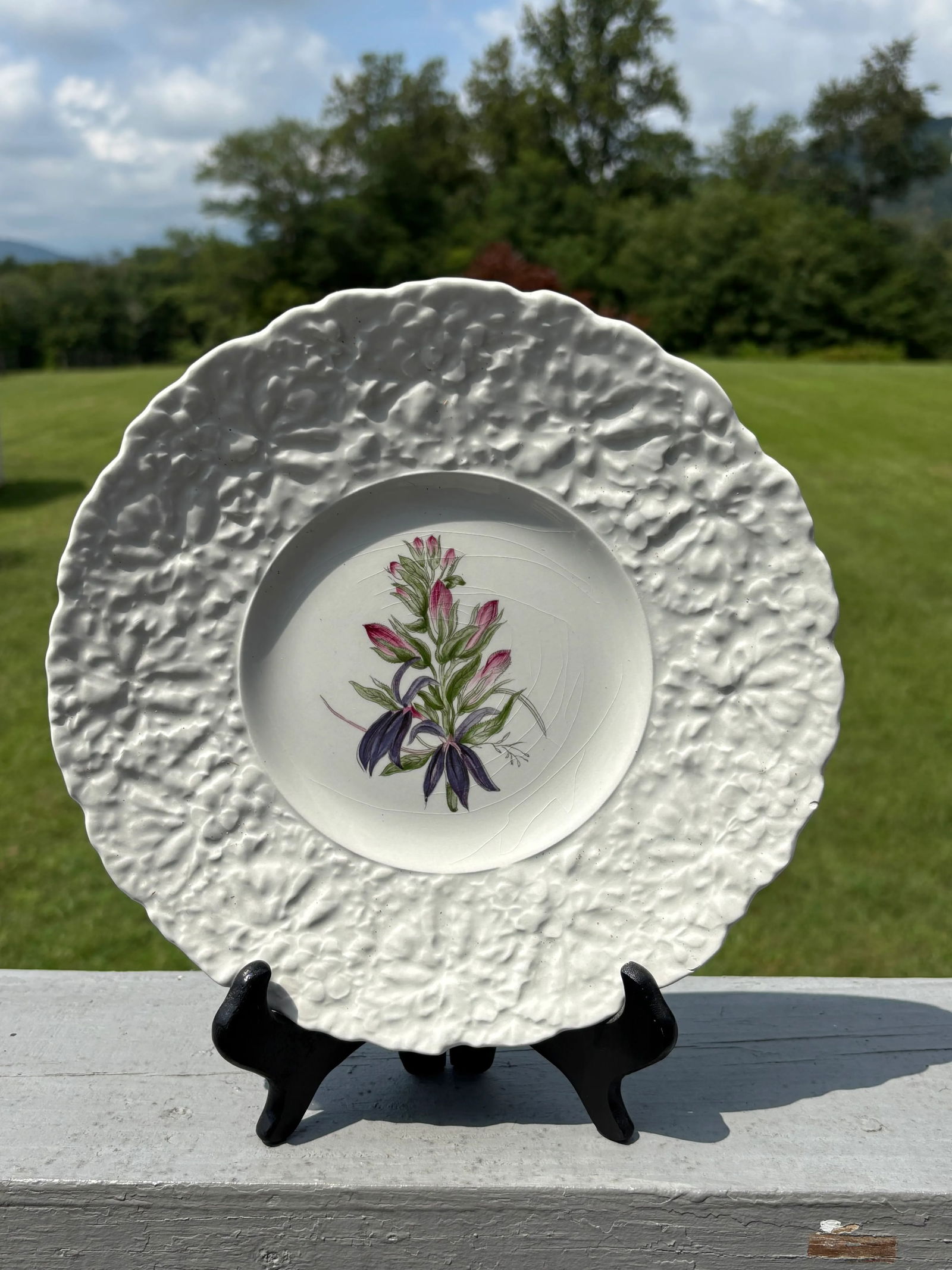 Early 20th Century English Porcelain Floral Luncheon Set - 8 Plates With Unique Botanical Images - 11