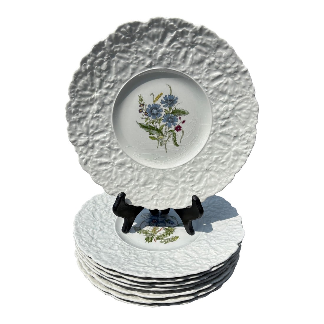 Early 20th Century English Porcelain Floral Luncheon Set - 8 Plates With Unique Botanical Images: Royal Cauldon Bristol Ironstone Woodstock Set of eight 9" luncheon plates - heavily detailed, each with a unique floral botanical handpainted image. Cardinal Flower Rock Rose Speedwell Rock