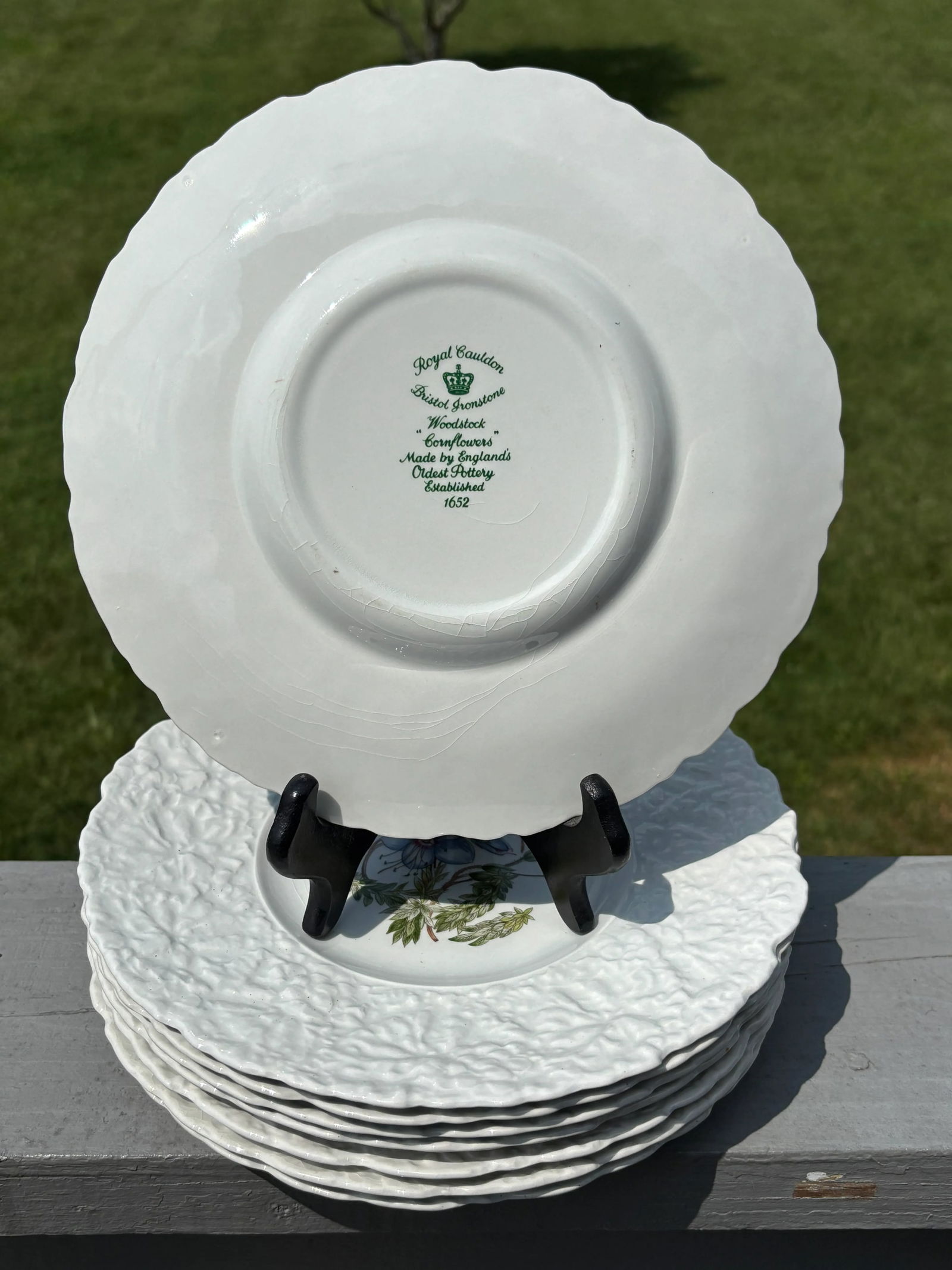 Early 20th Century English Porcelain Floral Luncheon Set - 8 Plates With Unique Botanical Images - 2