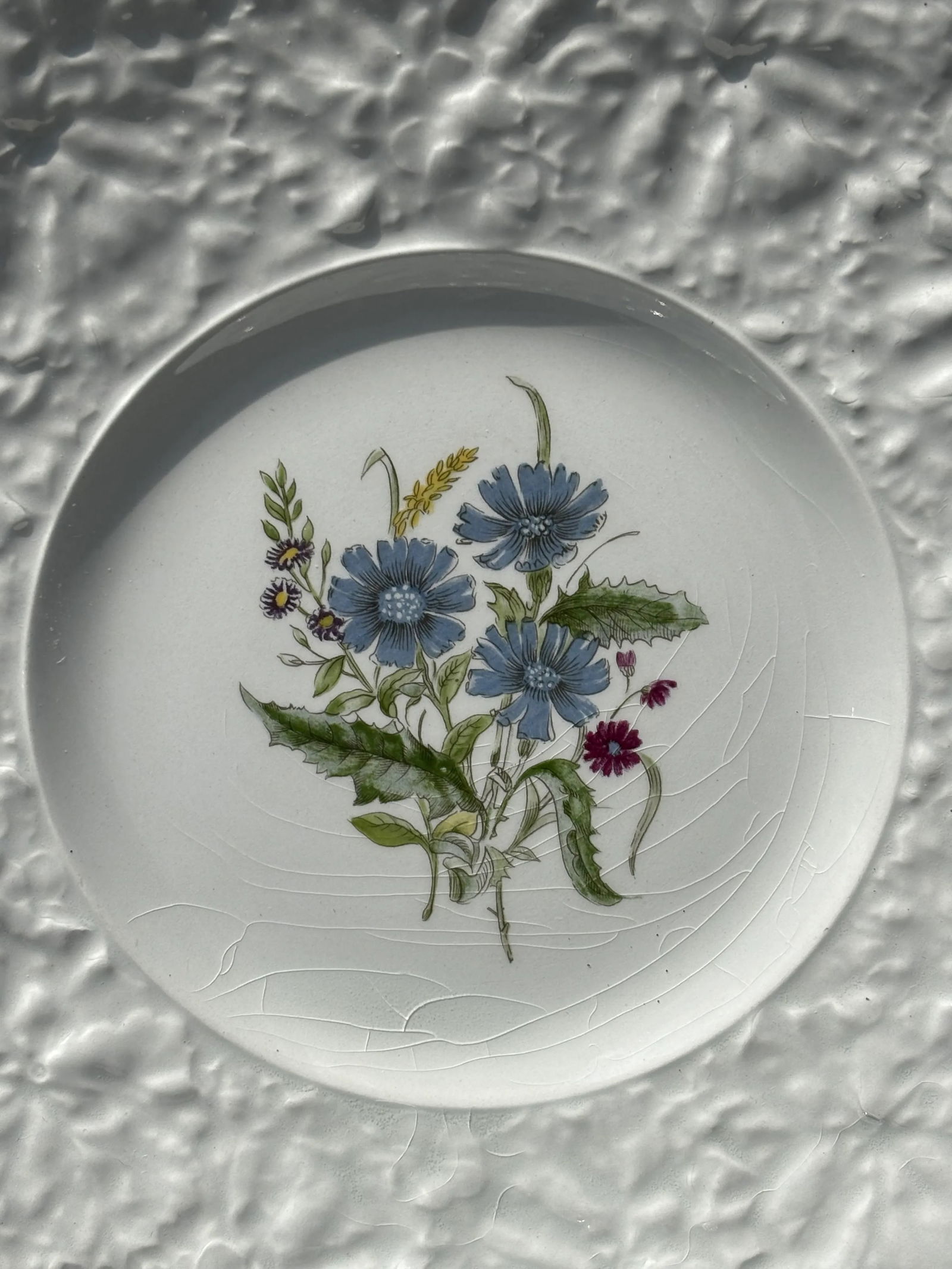 Early 20th Century English Porcelain Floral Luncheon Set - 8 Plates With Unique Botanical Images - 3