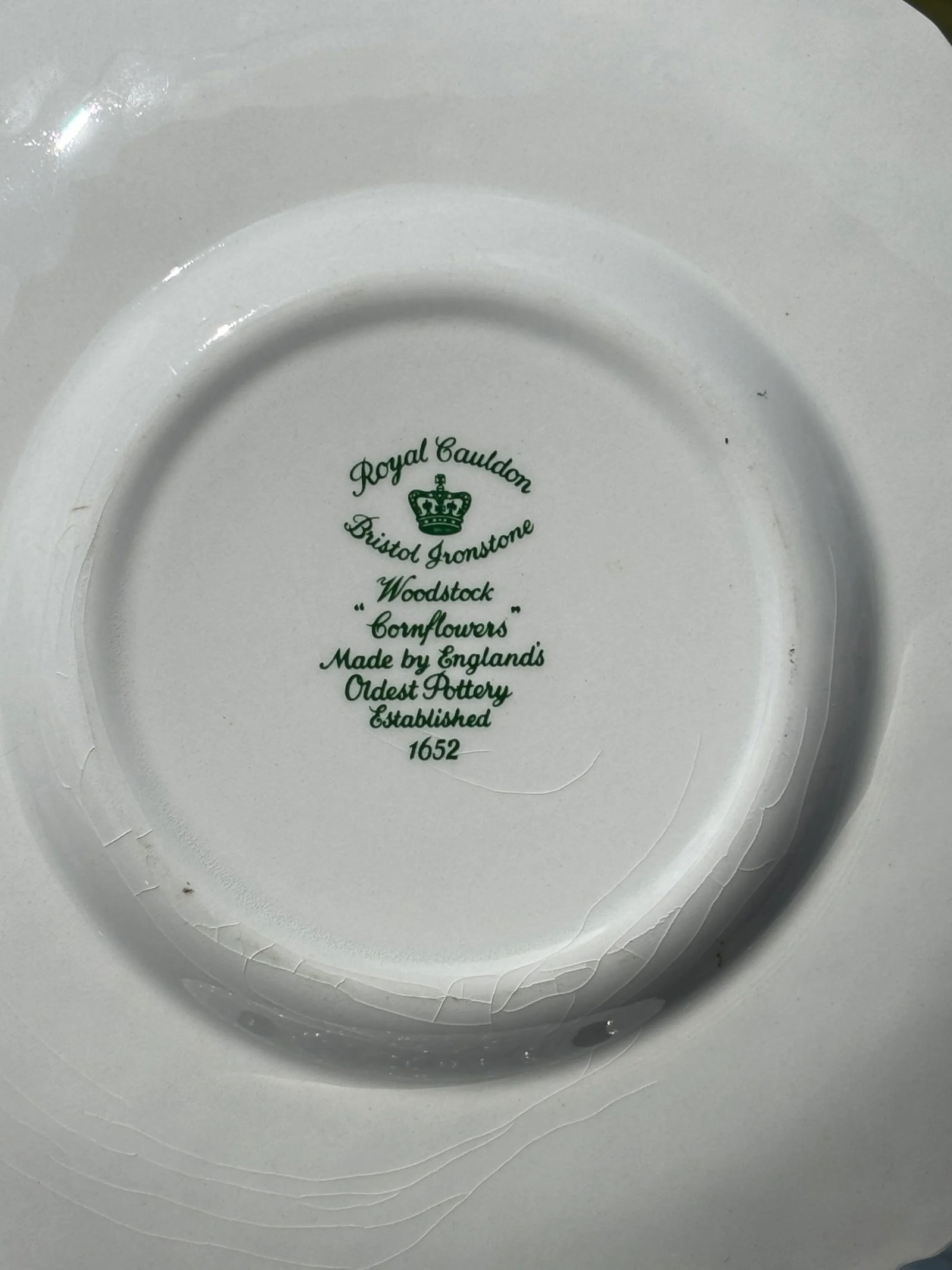 Early 20th Century English Porcelain Floral Luncheon Set - 8 Plates With Unique Botanical Images - 4