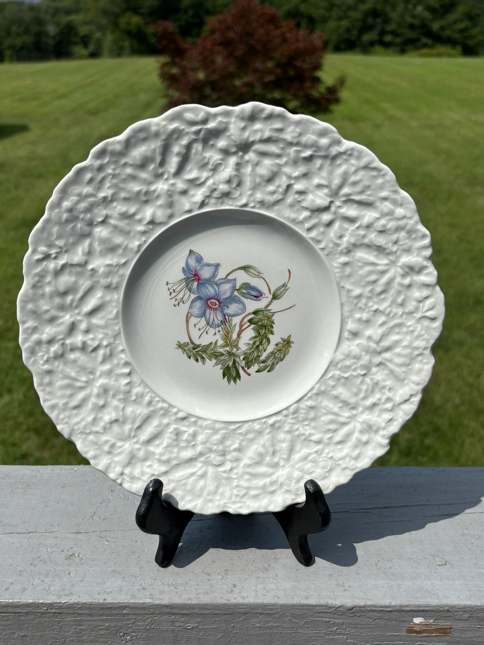 Early 20th Century English Porcelain Floral Luncheon Set - 8 Plates With Unique Botanical Images - 5