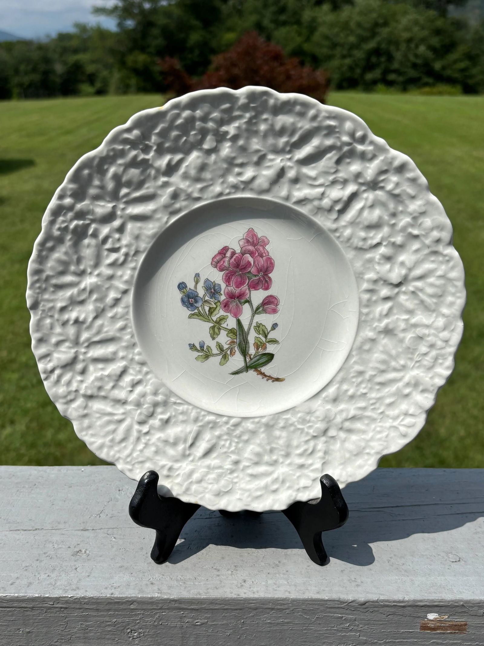 Early 20th Century English Porcelain Floral Luncheon Set - 8 Plates With Unique Botanical Images - 6