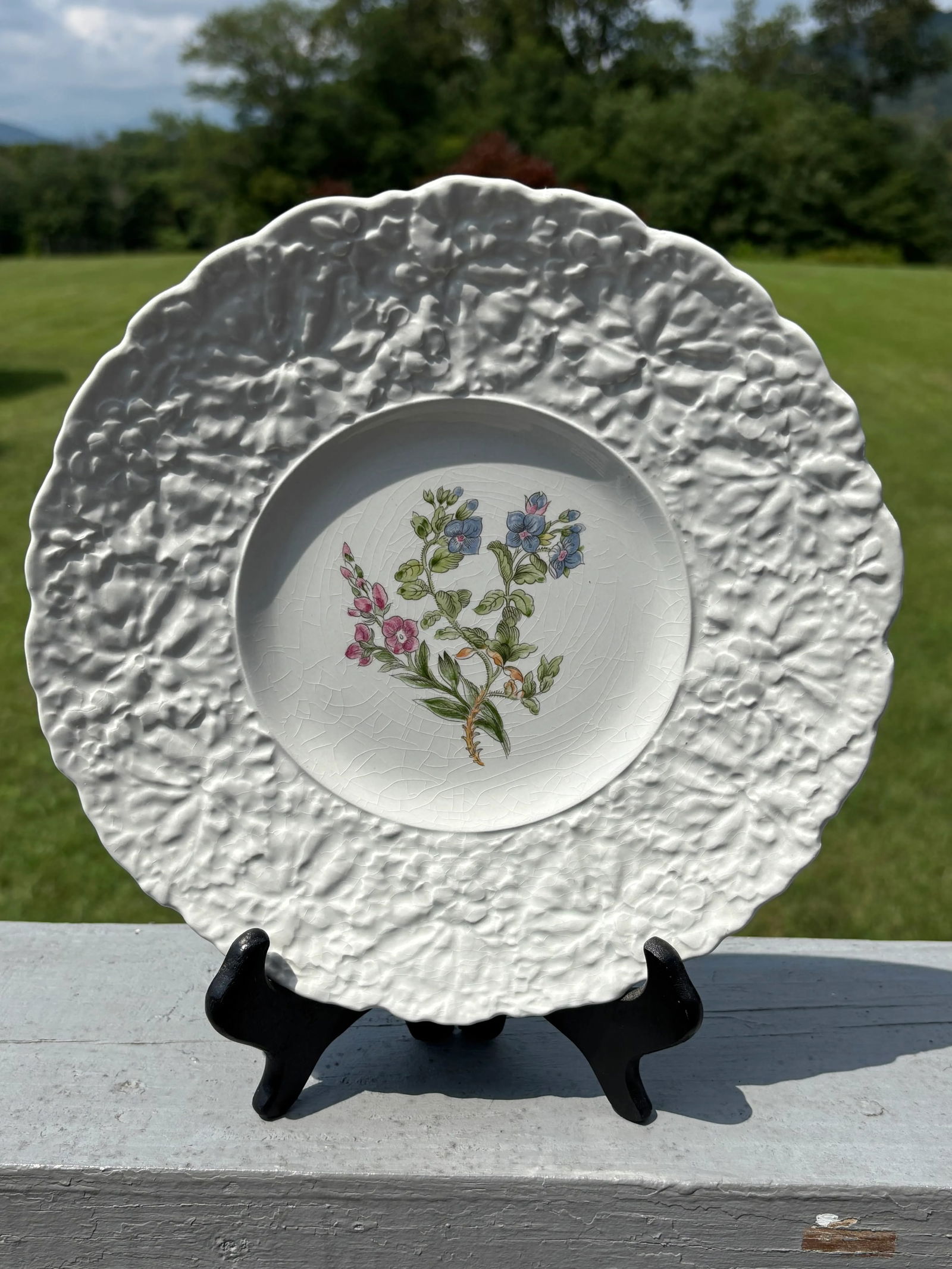Early 20th Century English Porcelain Floral Luncheon Set - 8 Plates With Unique Botanical Images - 7