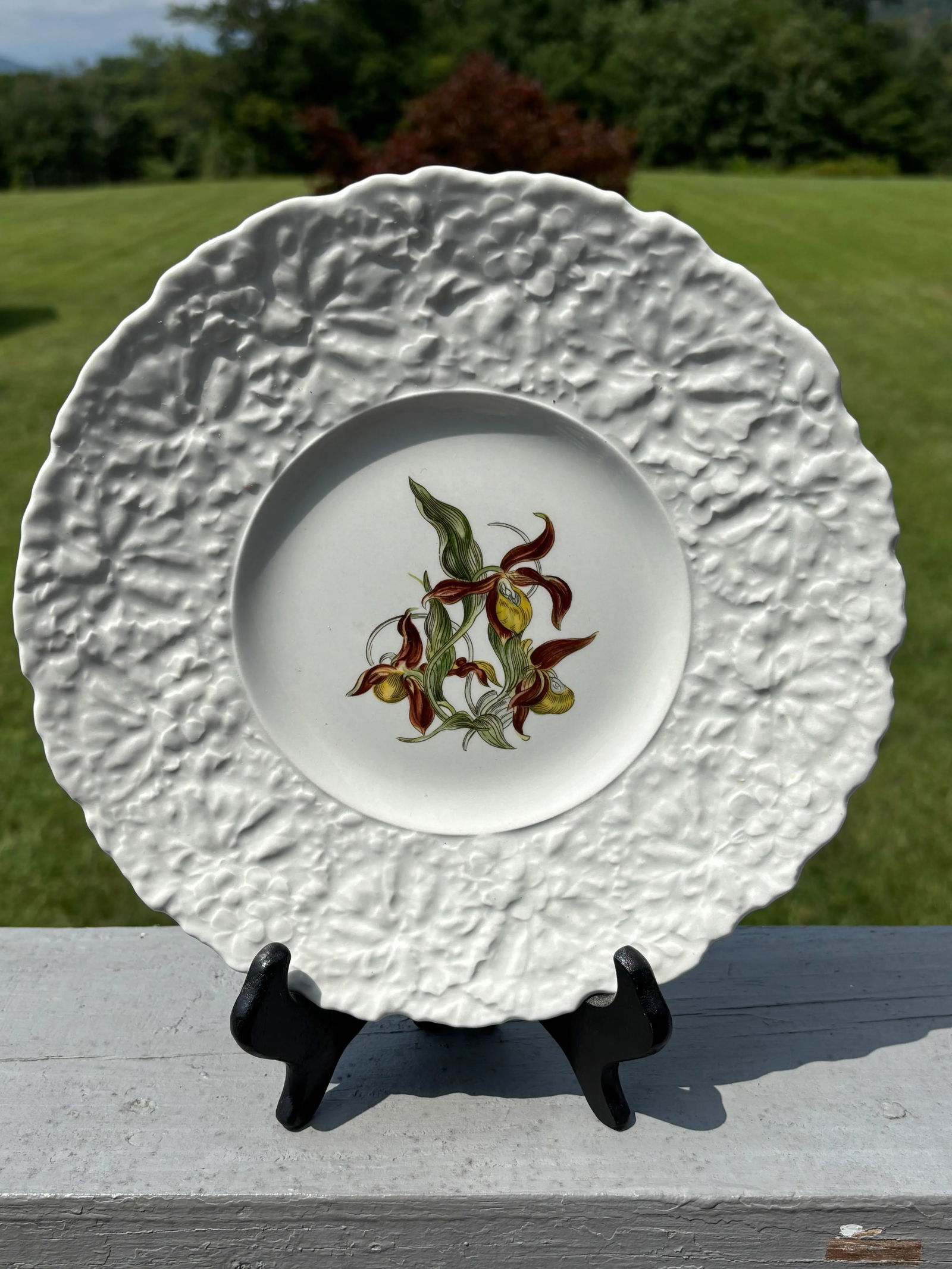 Early 20th Century English Porcelain Floral Luncheon Set - 8 Plates With Unique Botanical Images - 8