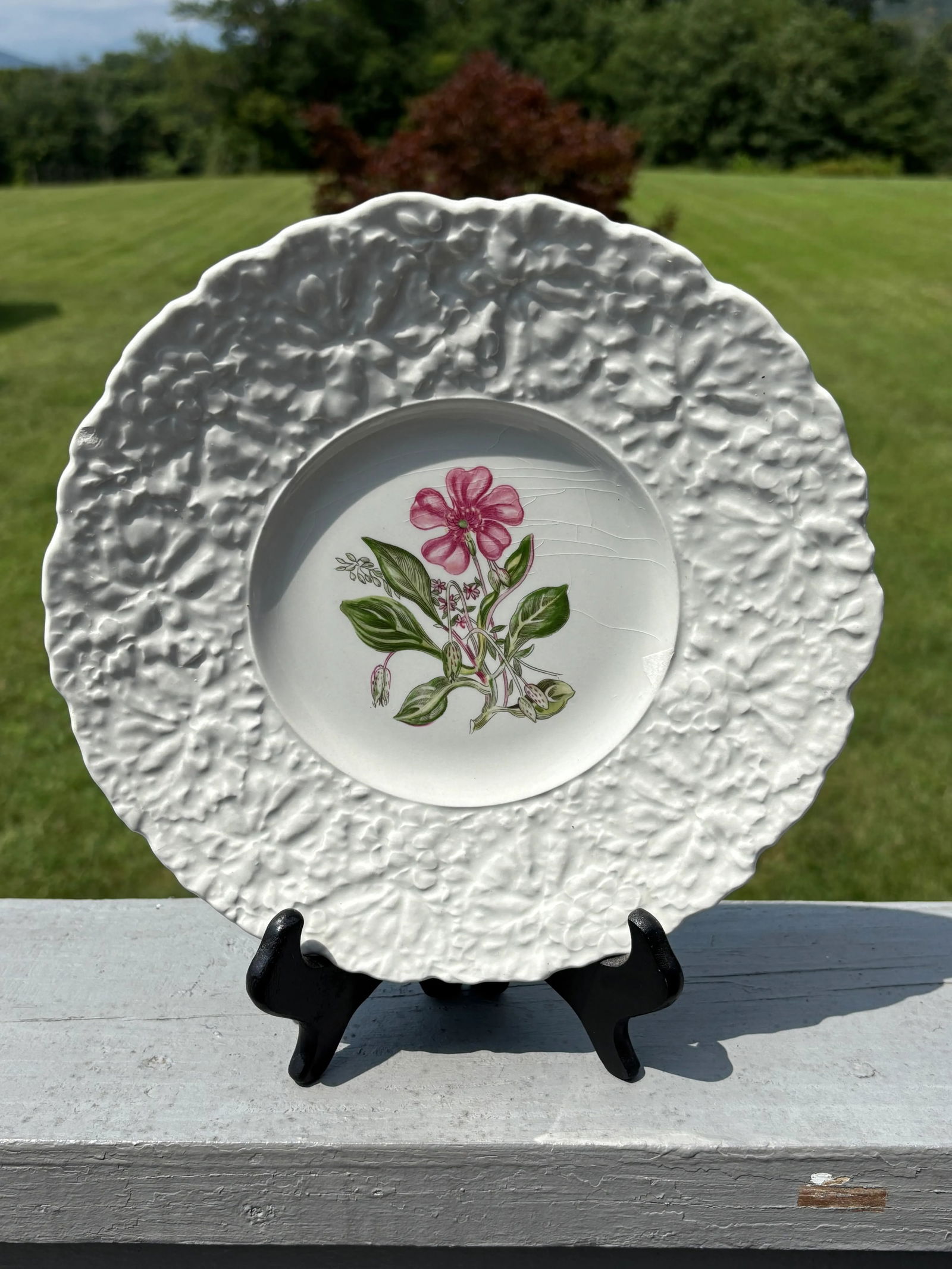 Early 20th Century English Porcelain Floral Luncheon Set - 8 Plates With Unique Botanical Images - 9