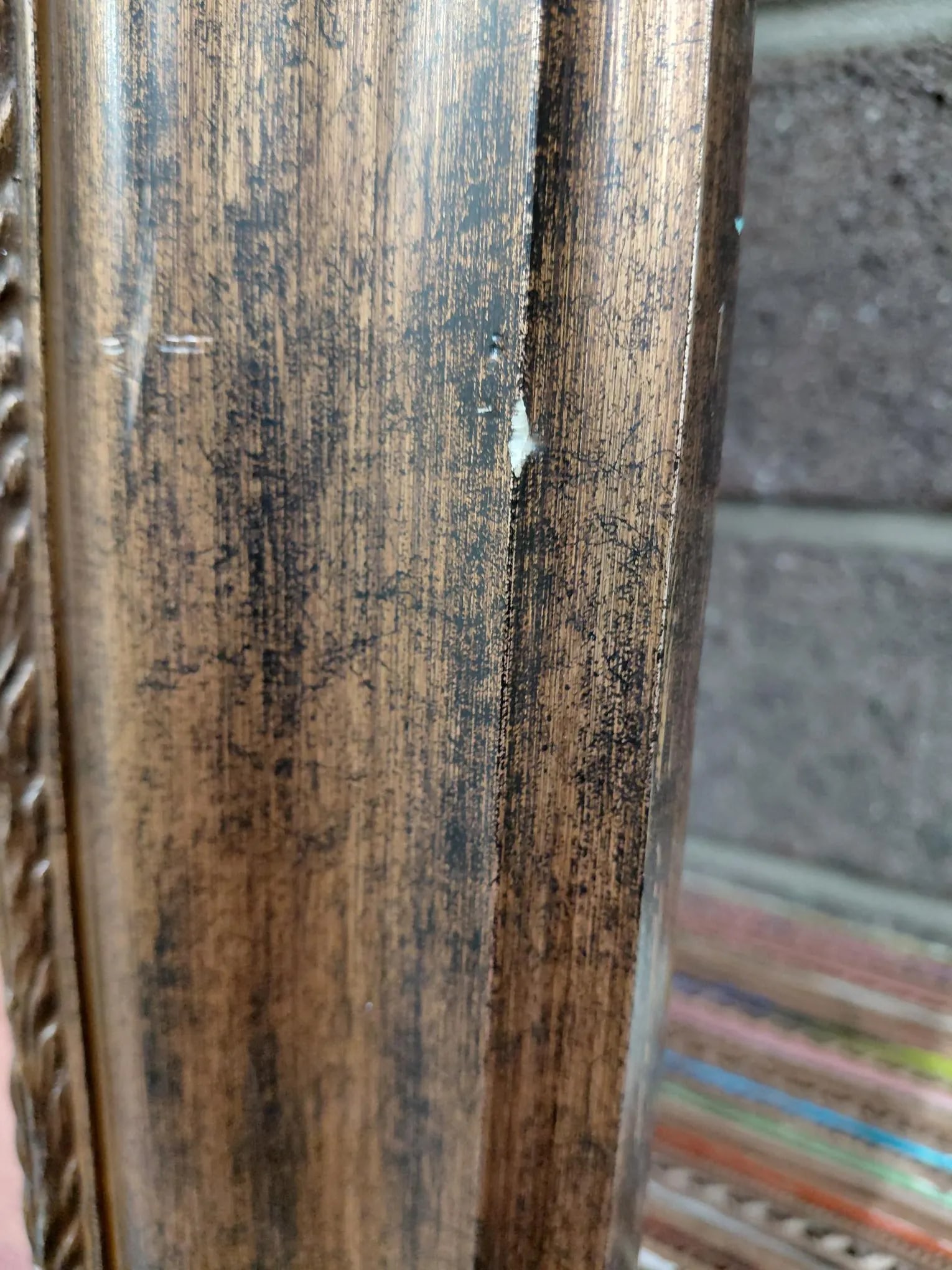 Framed Dennis Carney Giclée "Golden Iris Ii" Print - 10