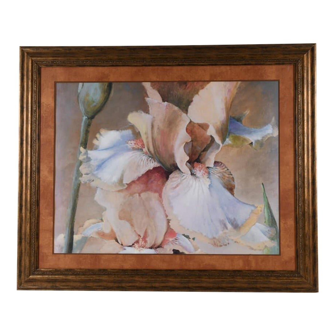 Framed Dennis Carney Giclée "Golden Iris Ii" Print (1 of 12)