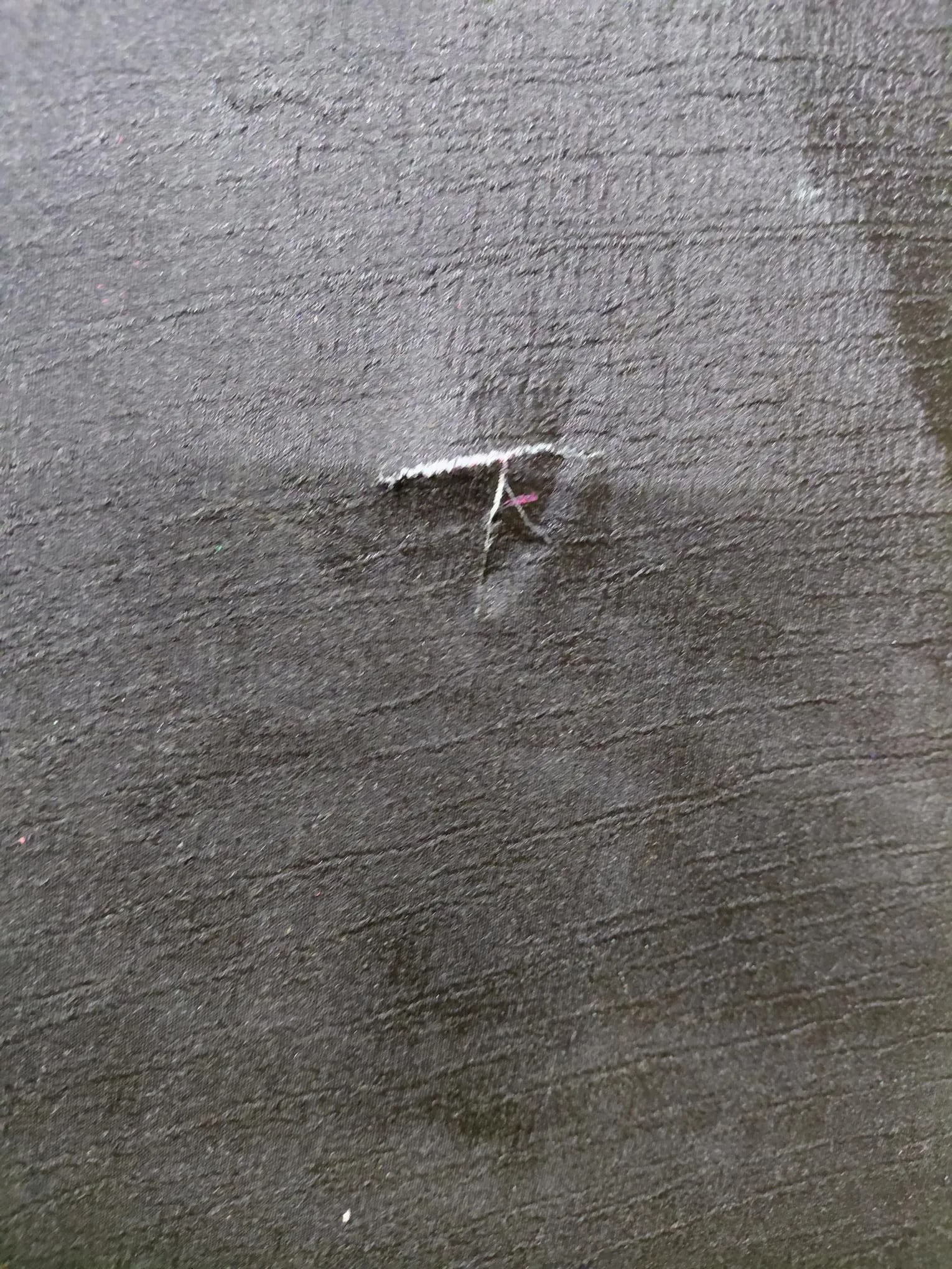 Signed Peter Keil "Expression in Bloom" Oil on Linen - 7