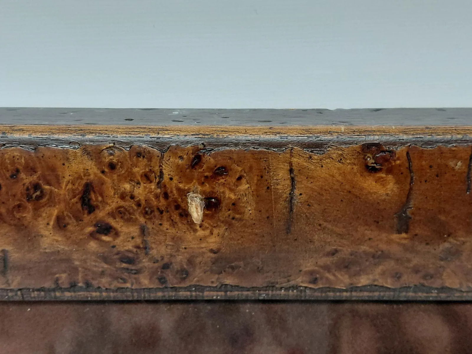 Signed "One With Nature" Limited-Edition 289/999 Lithograph by Lee Bogle - 6