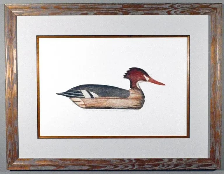 Arthur Nevin Red-Breasted Merganser Duck Decoy Print - 4