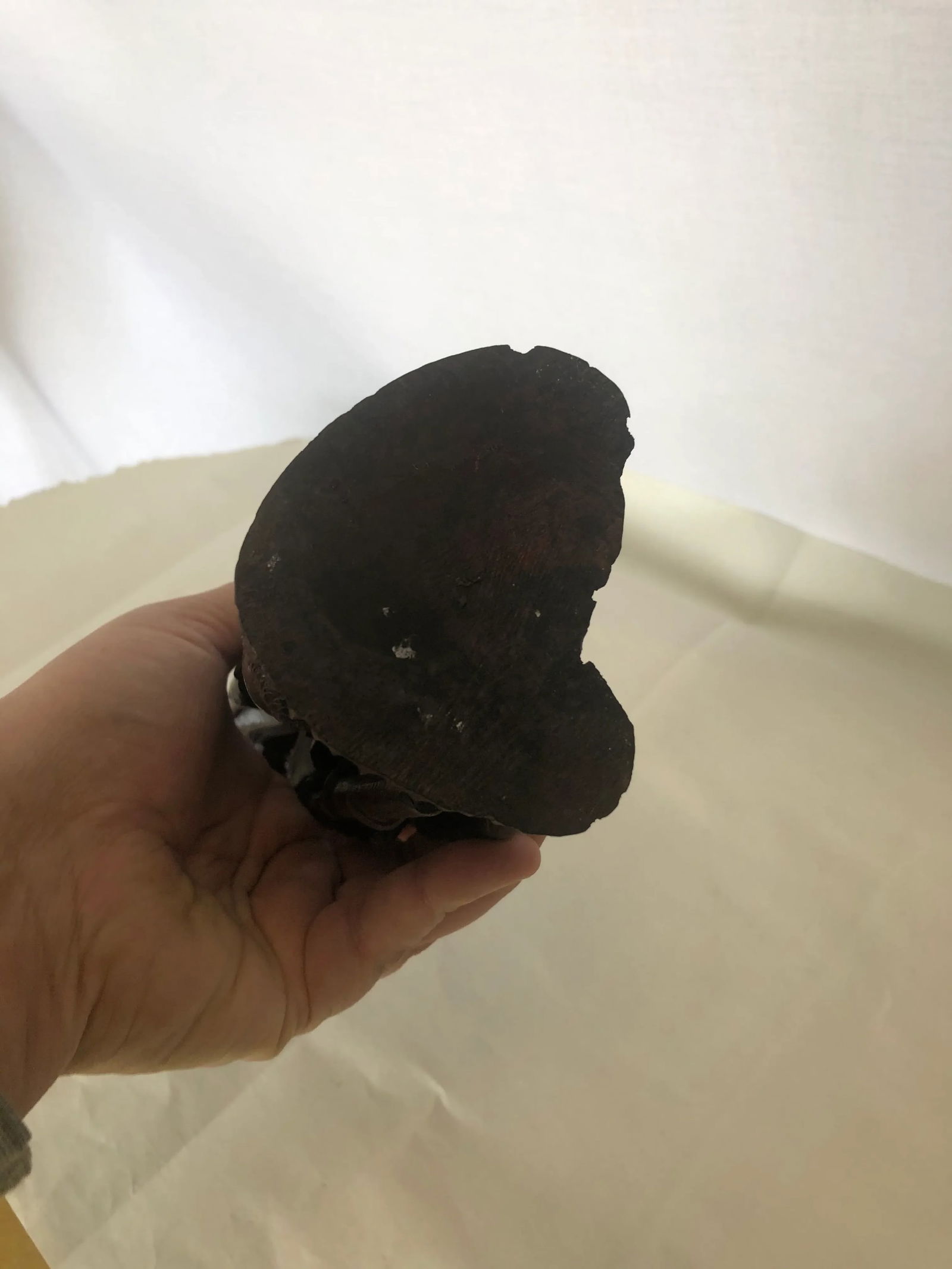 Late 20th Century Figurative Wooden Hand Carved African Sculpture - 10