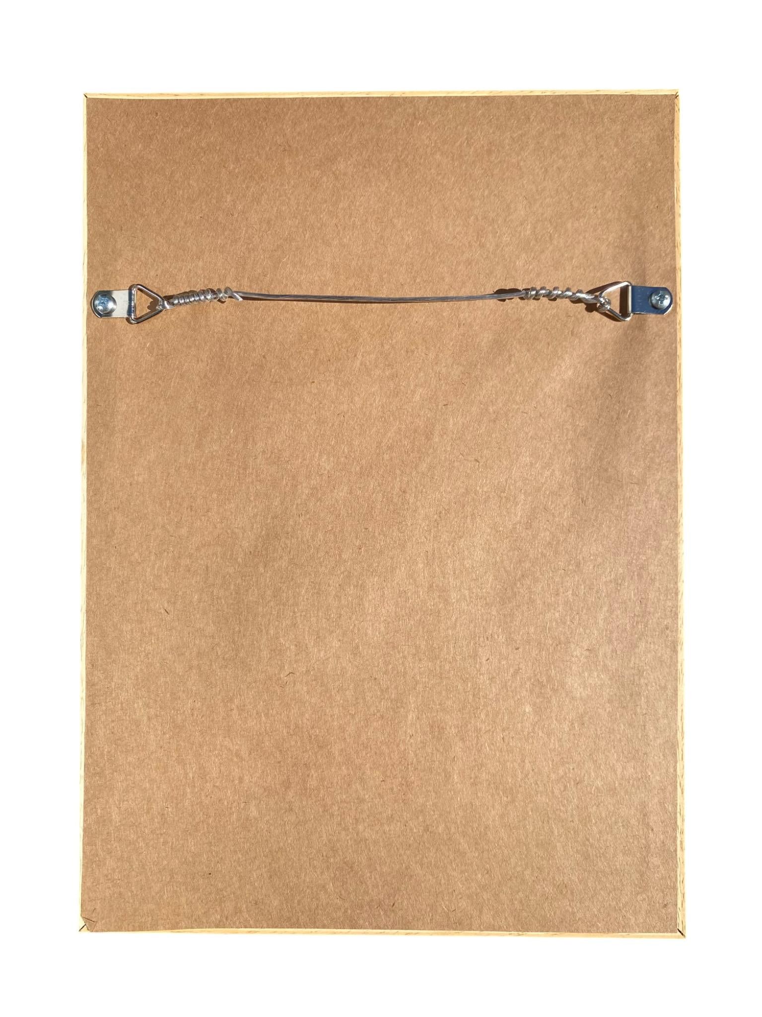 Framed Antique Botanical Chromolithographs "” "Wild Flowers of America", Volume I, L. Prang & - 17