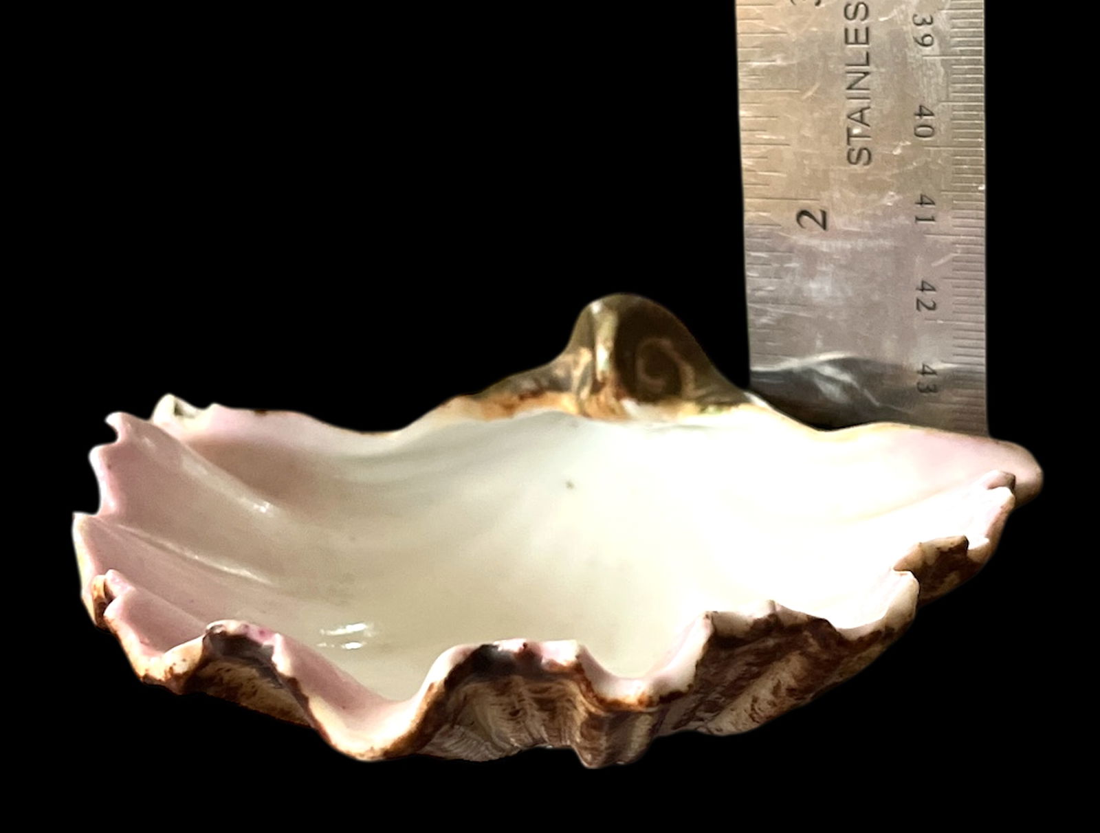 Late 19th Century Continental Majolica Scallop Shell Porcelain Bowl - 10