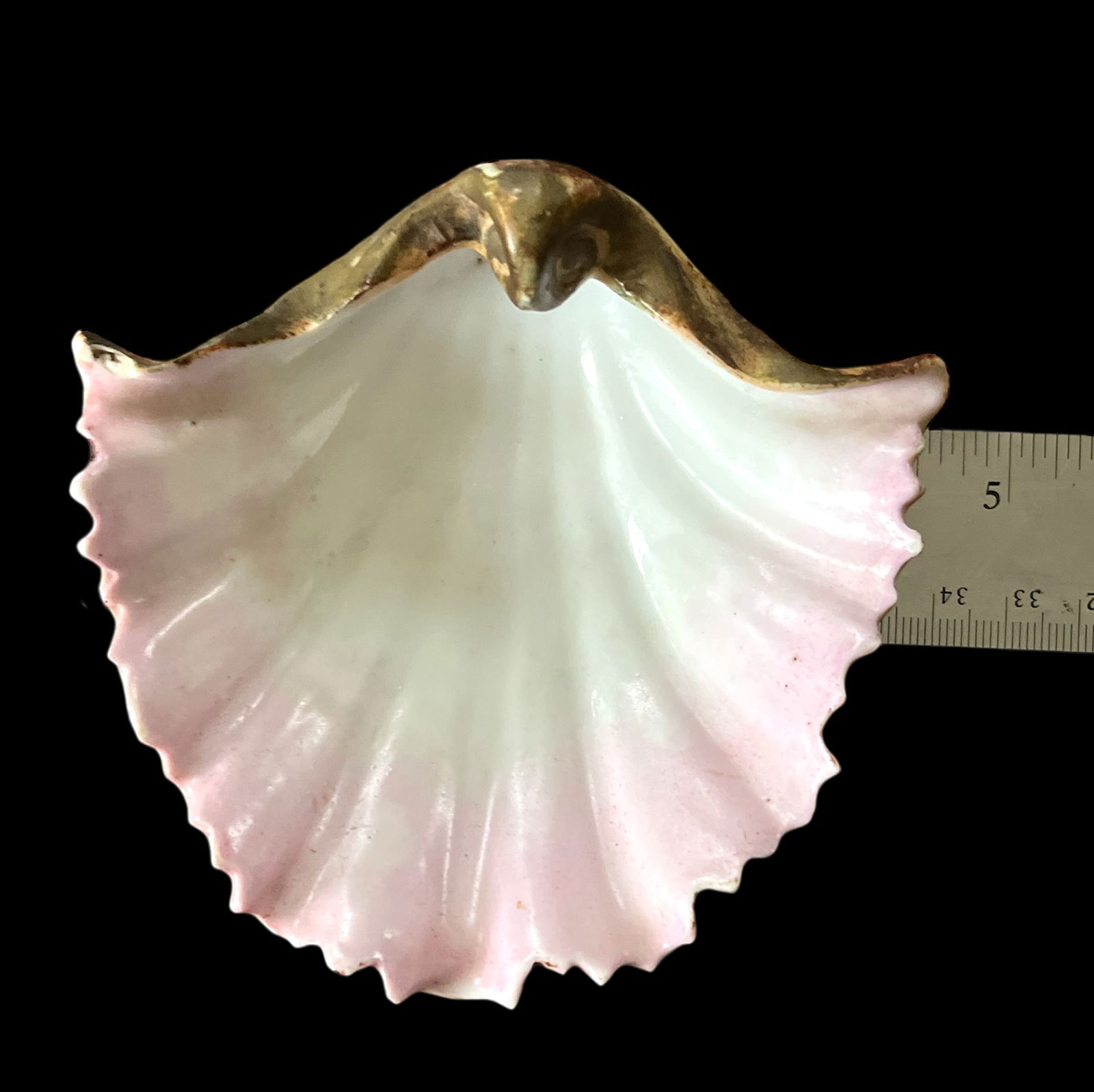 Late 19th Century Continental Majolica Scallop Shell Porcelain Bowl - 11