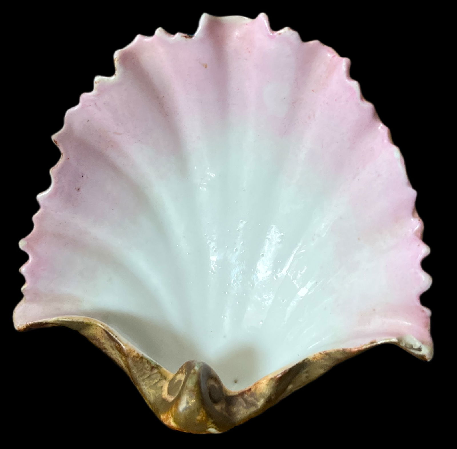 Late 19th Century Continental Majolica Scallop Shell Porcelain Bowl - 5