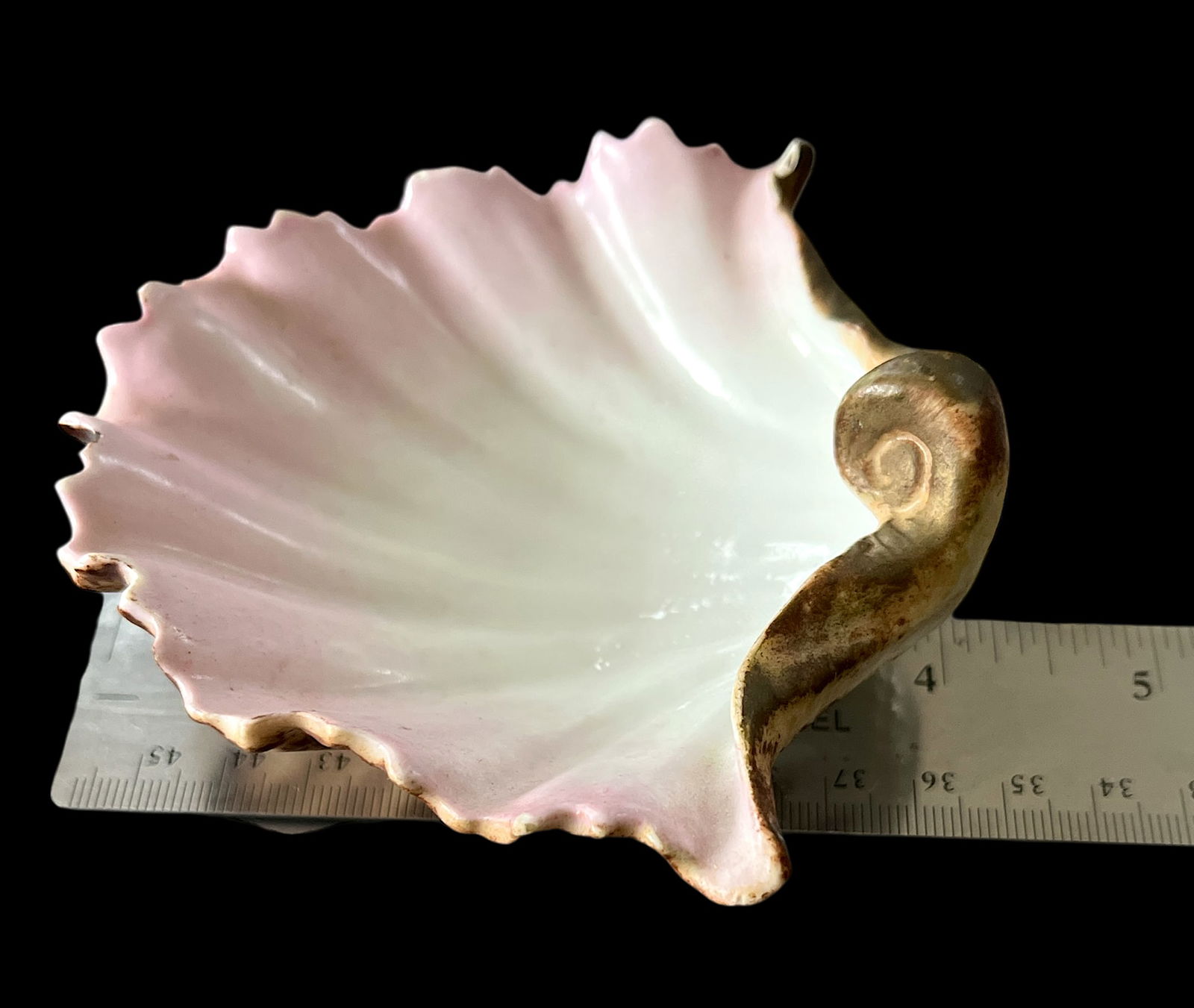 Late 19th Century Continental Majolica Scallop Shell Porcelain Bowl - 9