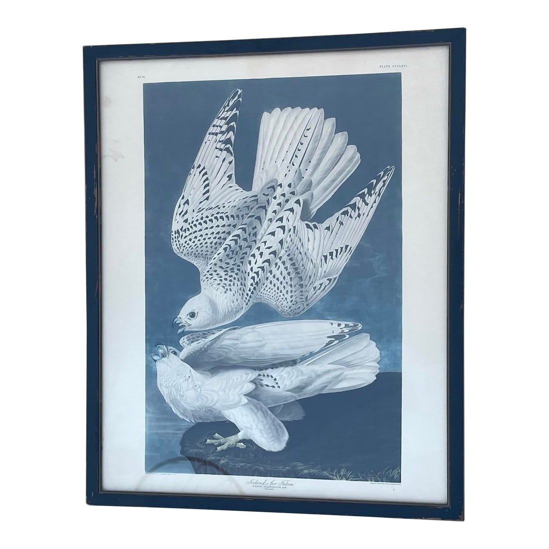 Antique Audubon Print by K. Havell 1837: Drawn from nature by JJ Audubon. Engraved, Printed and Coloured By K Havell 1837. Condition: Alterations: Original Condition Unaltered Imperfections: Needs Restoration Condition Notes: Some