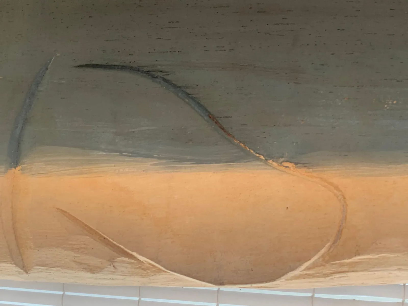 Carved Painted Wood Whale Wall Sculpture - 6