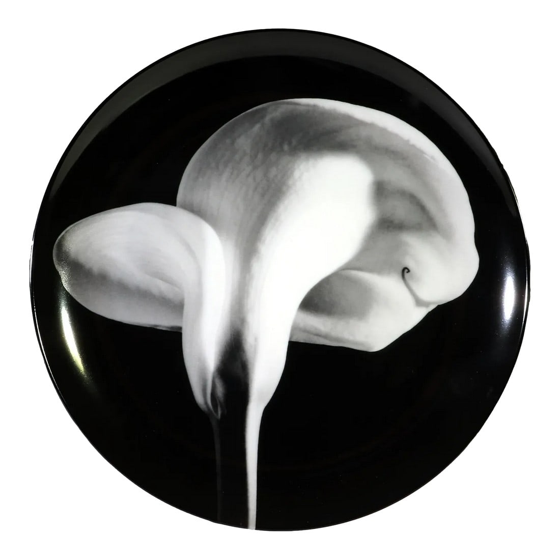 Robert Mapplethorpe Botanical Porcelain Plate, "Calla Lily, 1984": Robert Mapplethorpe Botanical Plate, Calla Lily, 1984" Made By Swid Powell The Robert Mapplethorpe porcelain plate depicts in black and white a Calla Lily made in 1984. It is lithographically