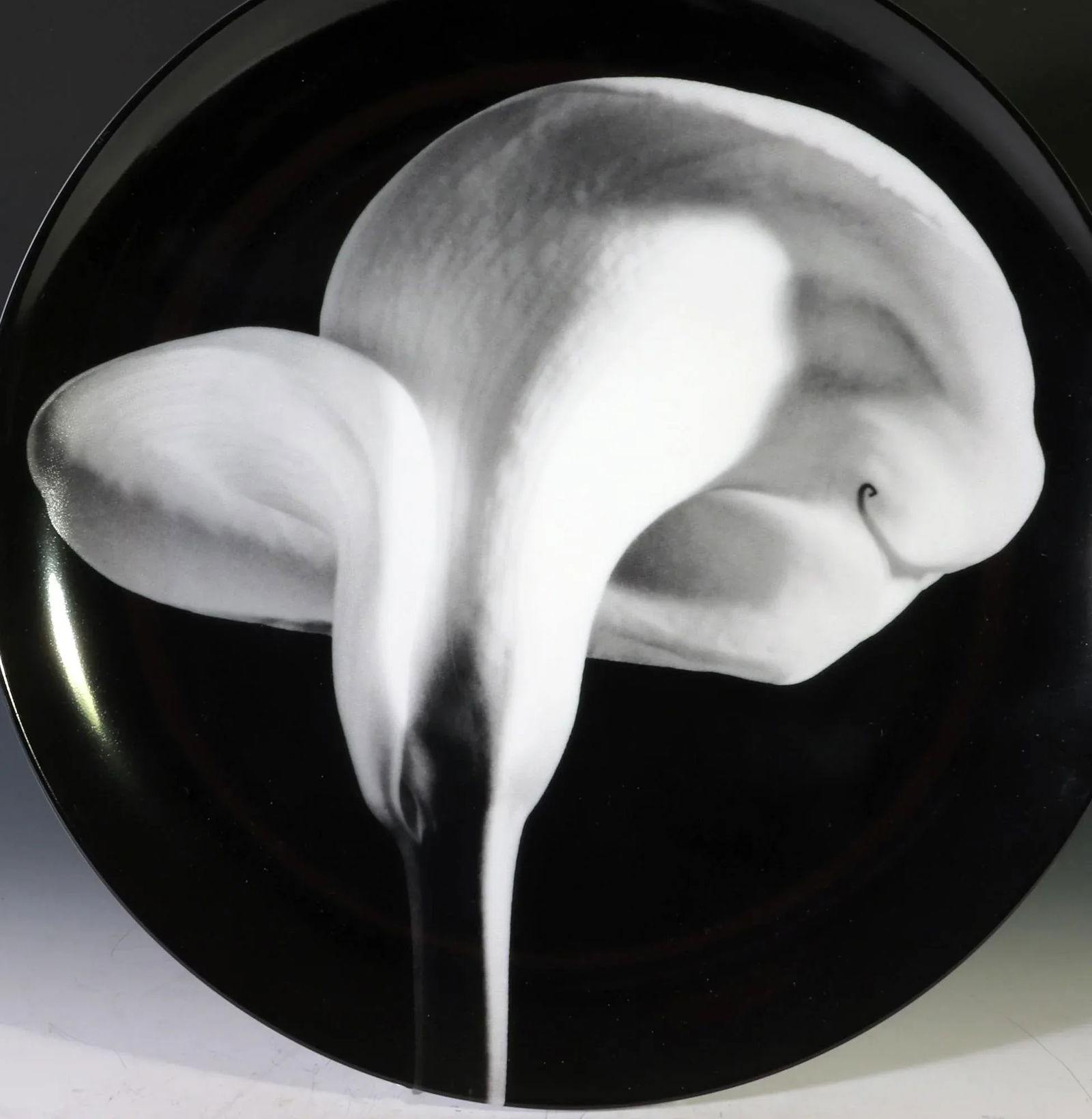 Robert Mapplethorpe Botanical Porcelain Plate, "Calla Lily, 1984" - 5