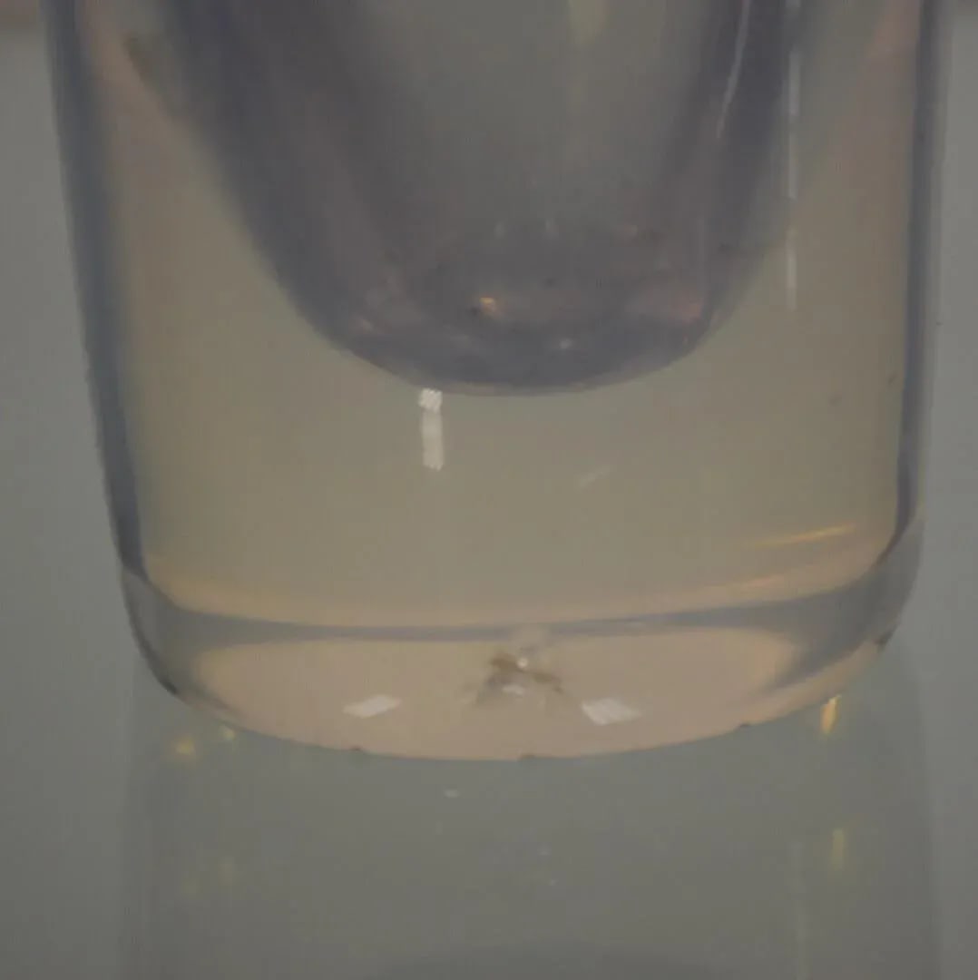 1950s Signed Murano Glass Vase - 5