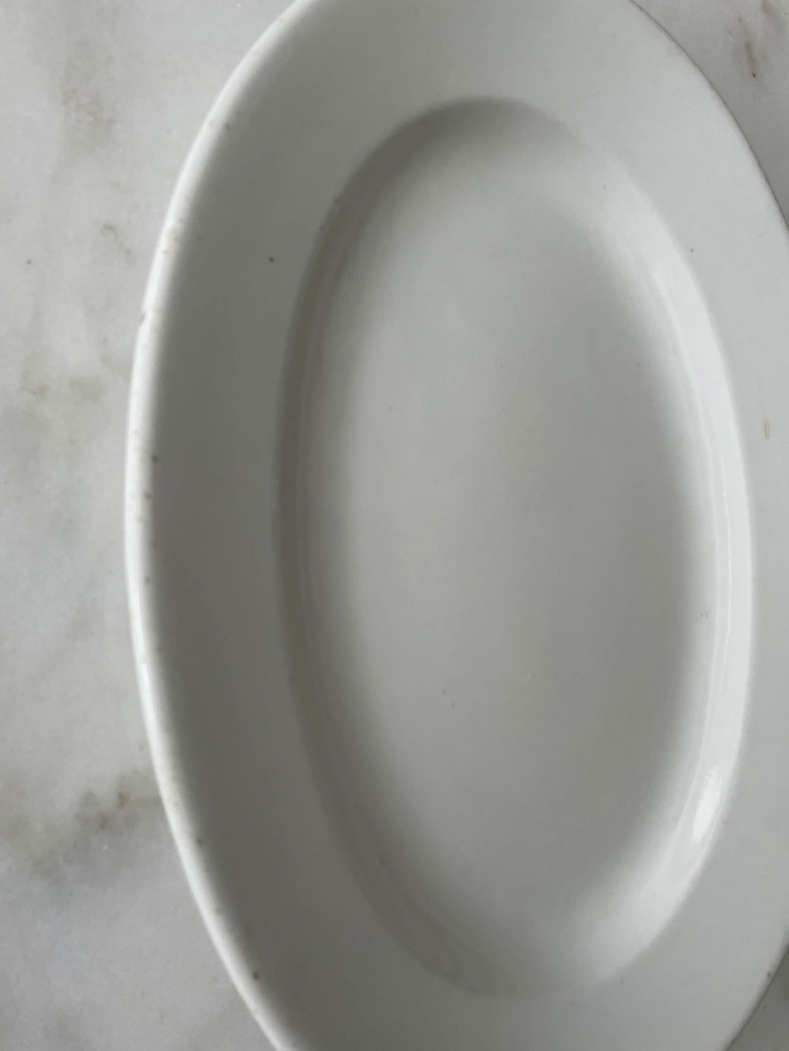 1862 Ironstone Platter - 4