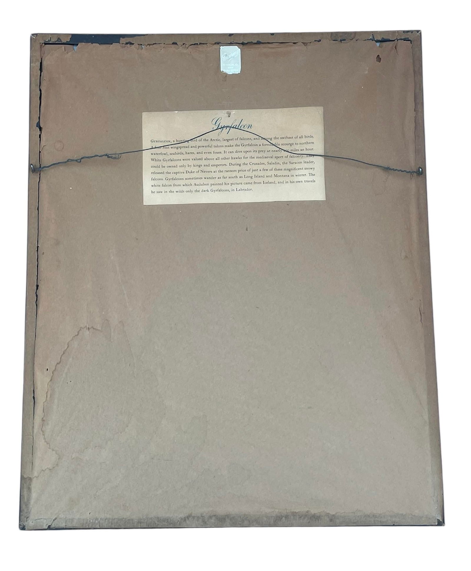 Antique Audubon Print by K. Havell 1837 - 4