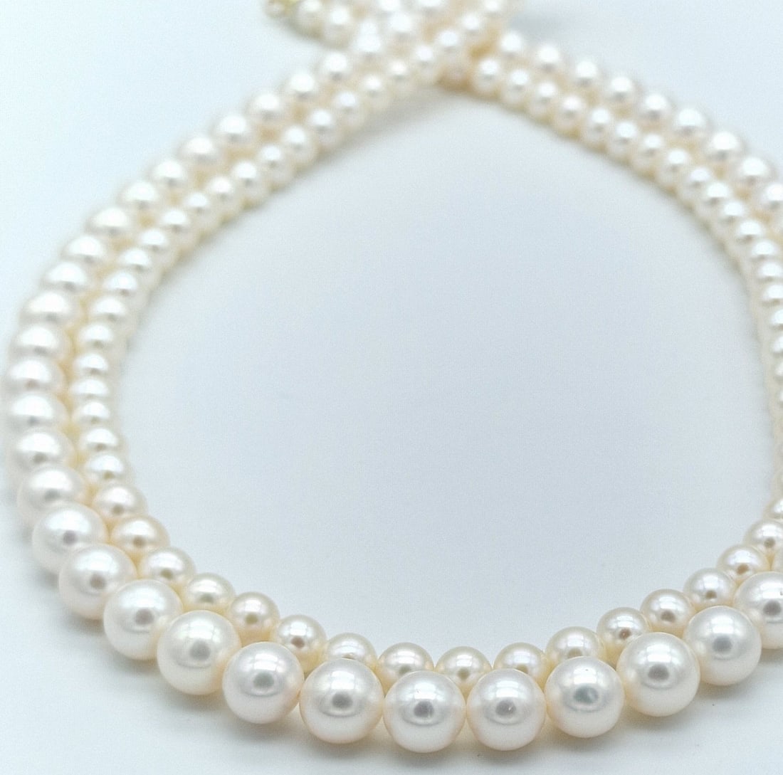 2 Strand akoya pearl necklace with 18 kt yellow gold clasp - 4