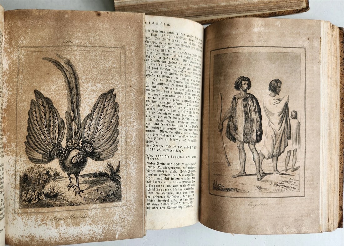 1838 TRAVELS to OCEANIA MALAYSIA POLYNESIA 3 VOLUMES antique ILLUSTRATED German - 12