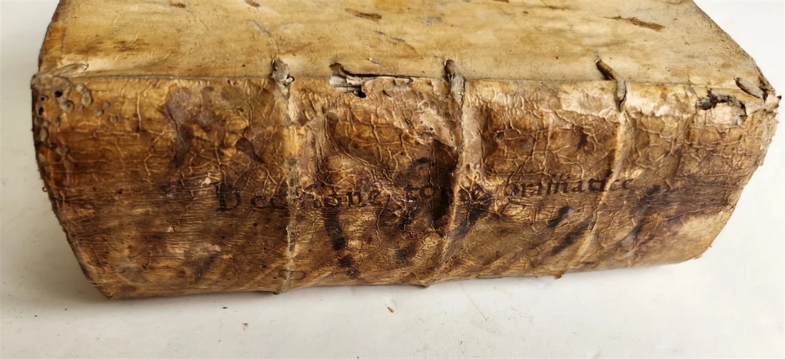 1569 NAPLES COURT DECISIONS by GRAMMATICO antique 16th CENTURY LAW BOOK - 11