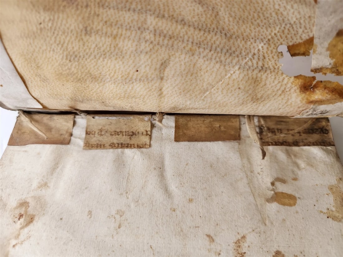 1547 OPUSCULORUM by D. Aurelii Augustini antique ILLUSTRATED vellum bound 16th C - 10