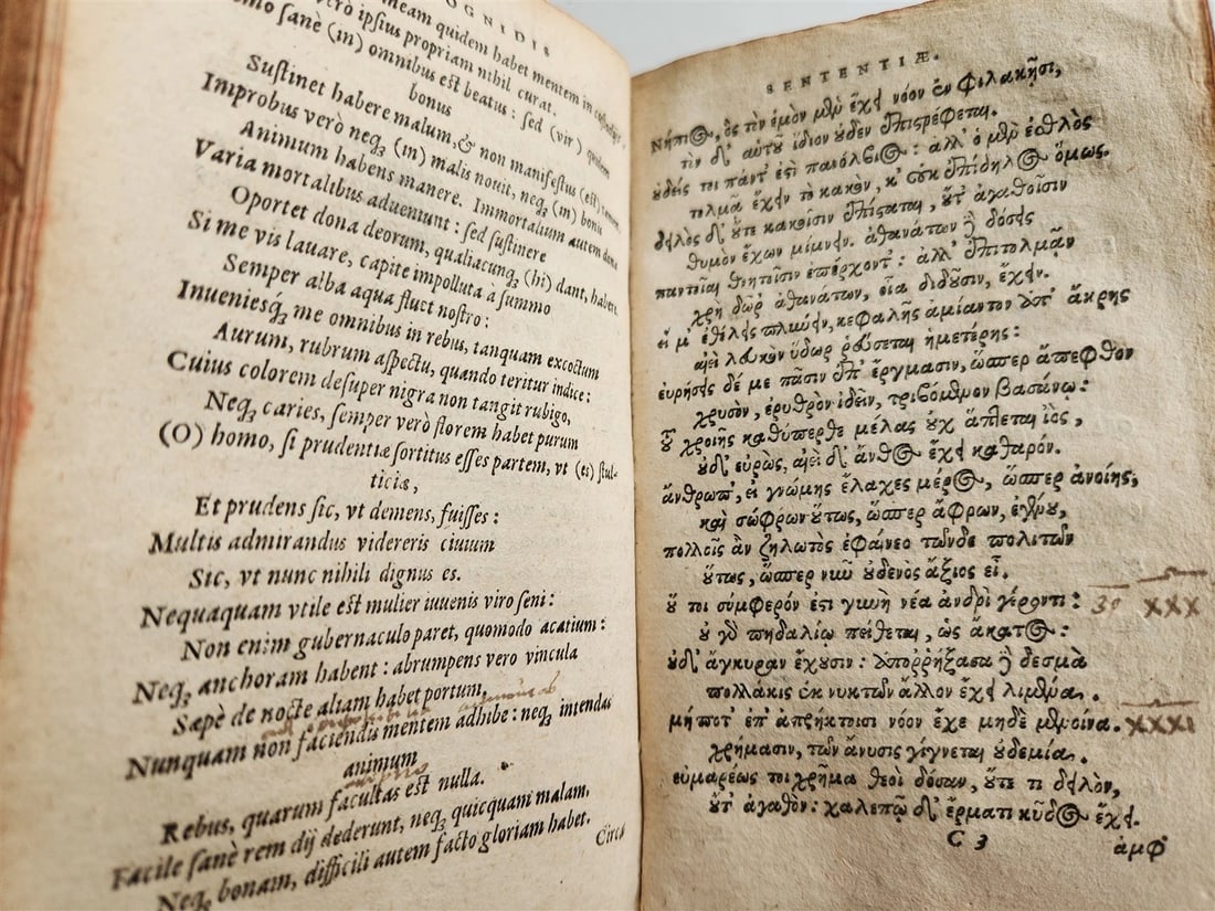 1578 POETRY Sentences of Theognis Megarensis antique vellum bound 16th CENTURY - 10