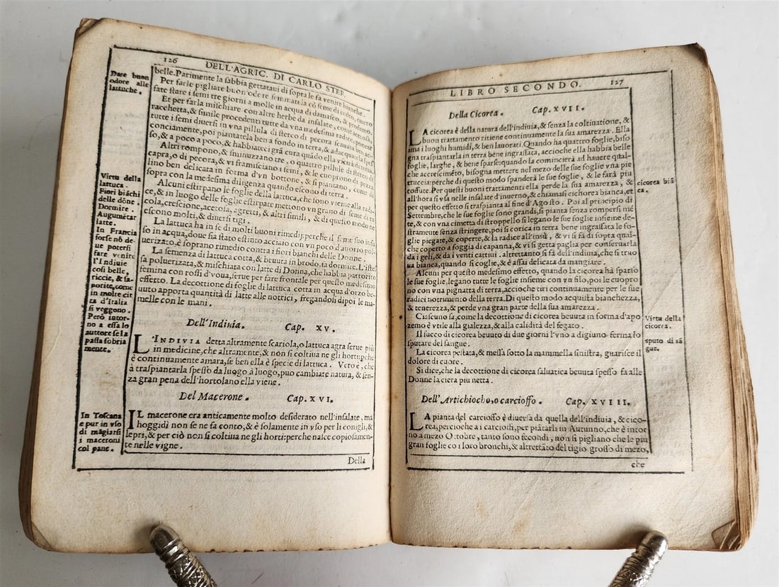1582 AGRICULTURE by CARLO STEFANO antique ANCIENT MANUSCRIPT BINDING 16 CENTURY - 10