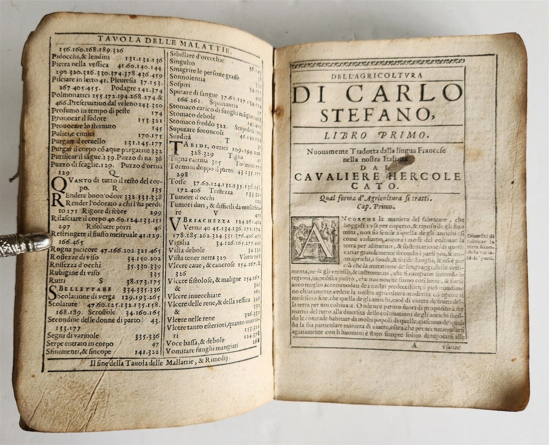 1582 AGRICULTURE by CARLO STEFANO antique ANCIENT MANUSCRIPT BINDING 16 CENTURY - 8