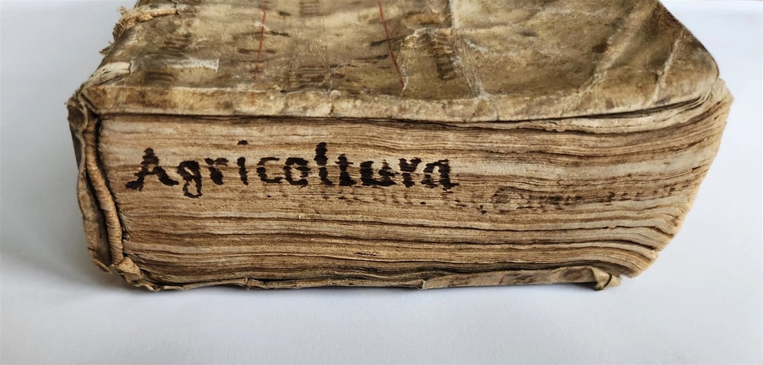 1582 AGRICULTURE by CARLO STEFANO antique ANCIENT MANUSCRIPT BINDING 16 CENTURY - 9