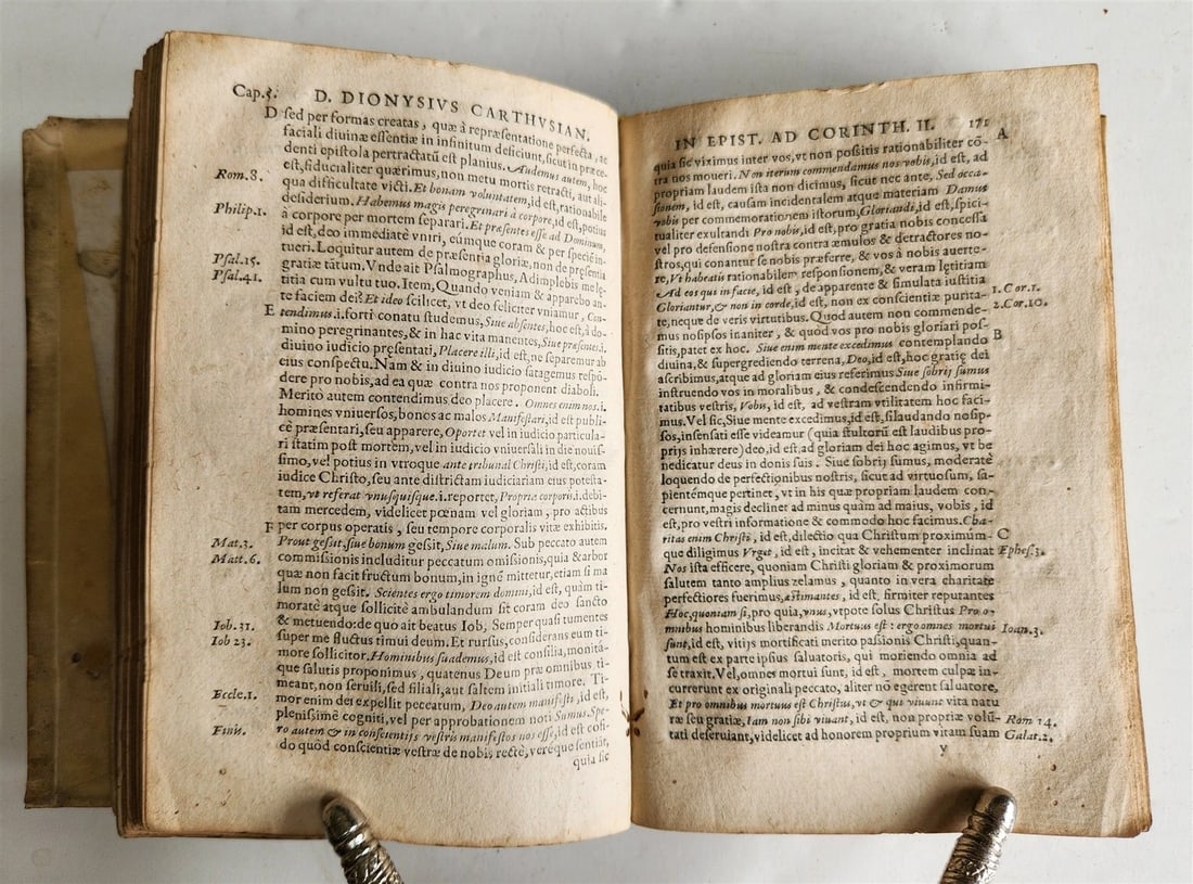 1555 BIBLE COMMENTARY by Dionysius Carthusianus antique VELLUM BINDING 16th CEN. - 10