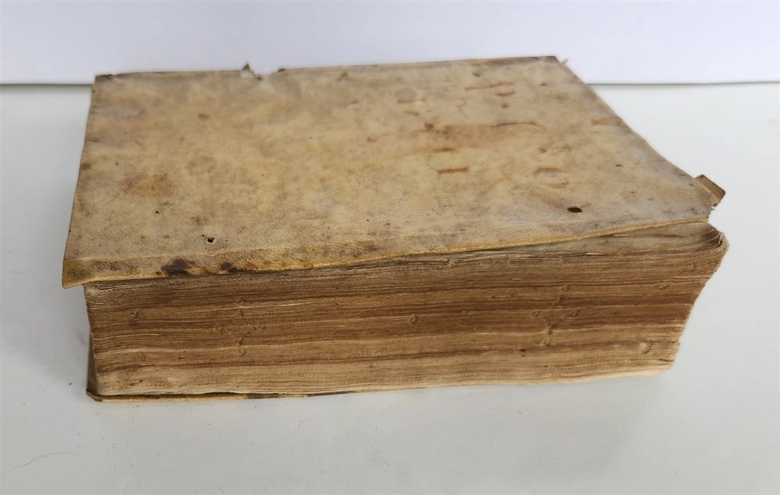 1555 BIBLE COMMENTARY by Dionysius Carthusianus antique VELLUM BINDING 16th CEN. - 4